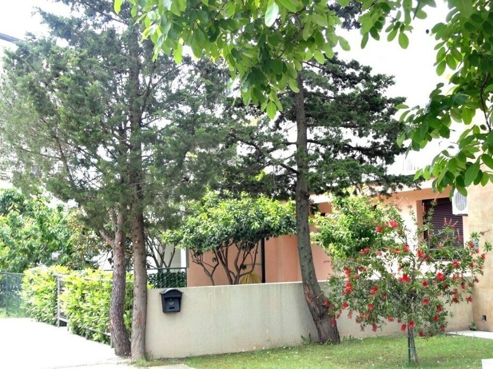 Фото Center Budva Holiday Home