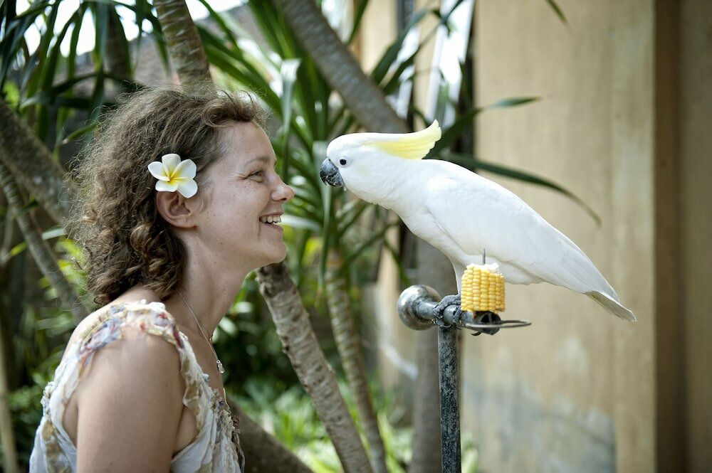 Фото Teja Homestay