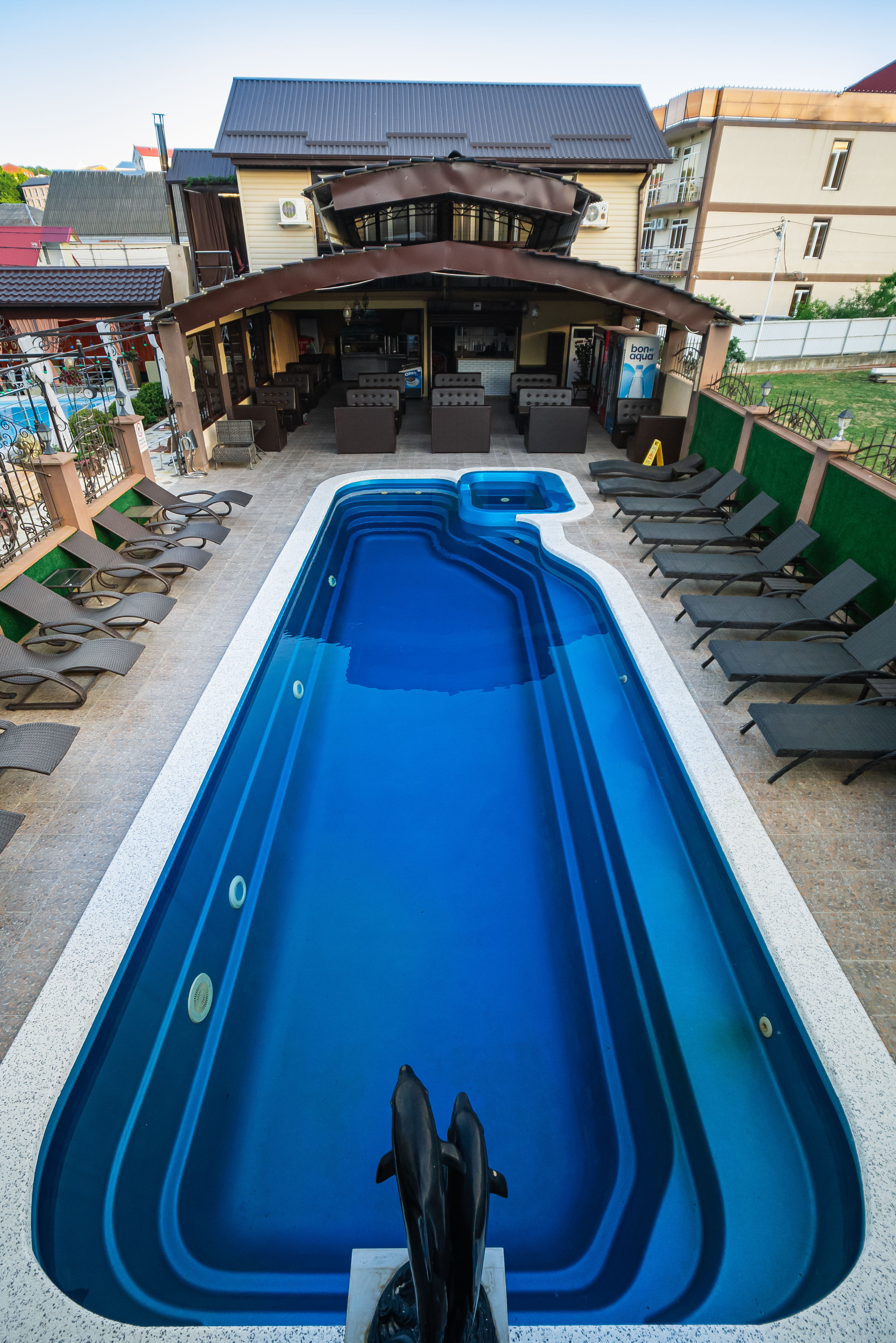 Фото Анютины Глазки