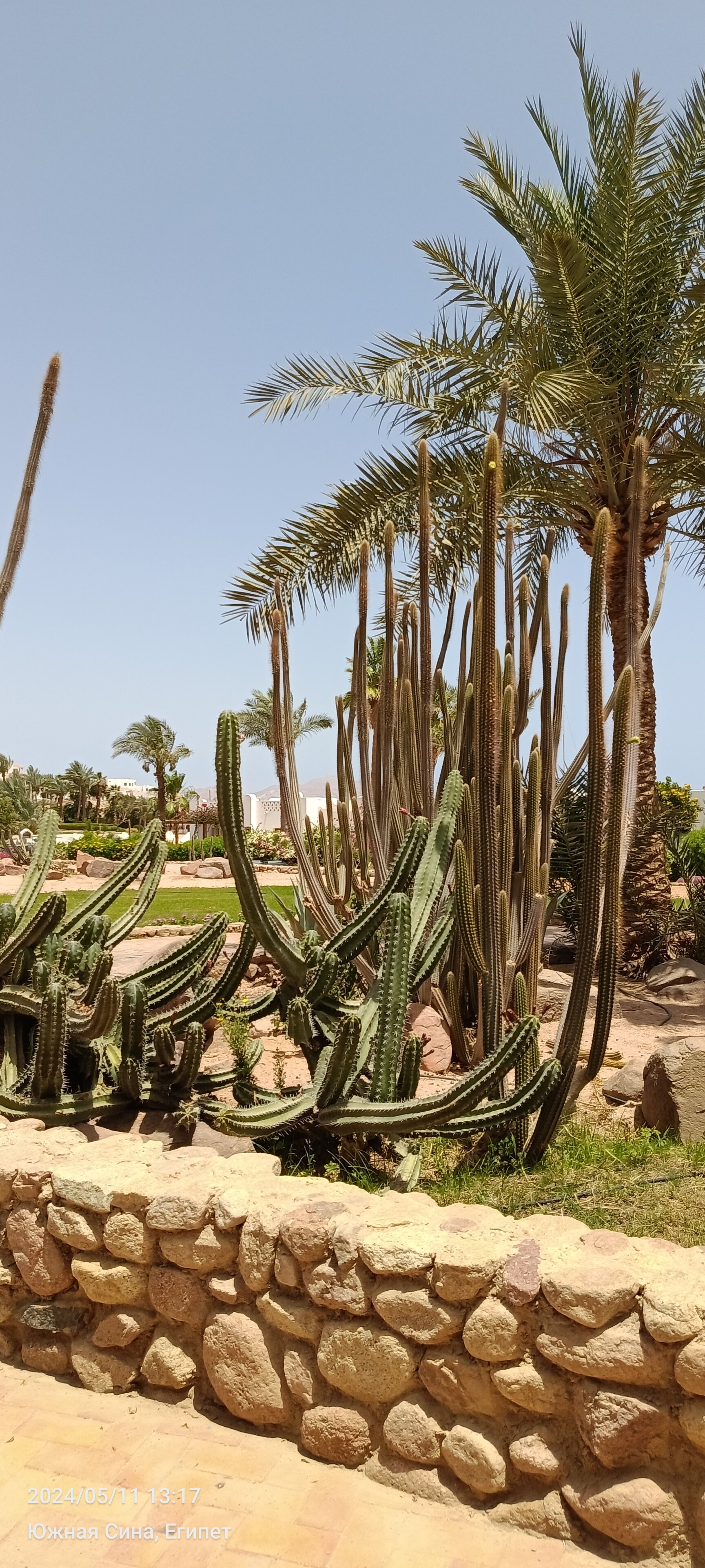 Фото Domina Coral Bay Resort, Diving, SPA & Casino