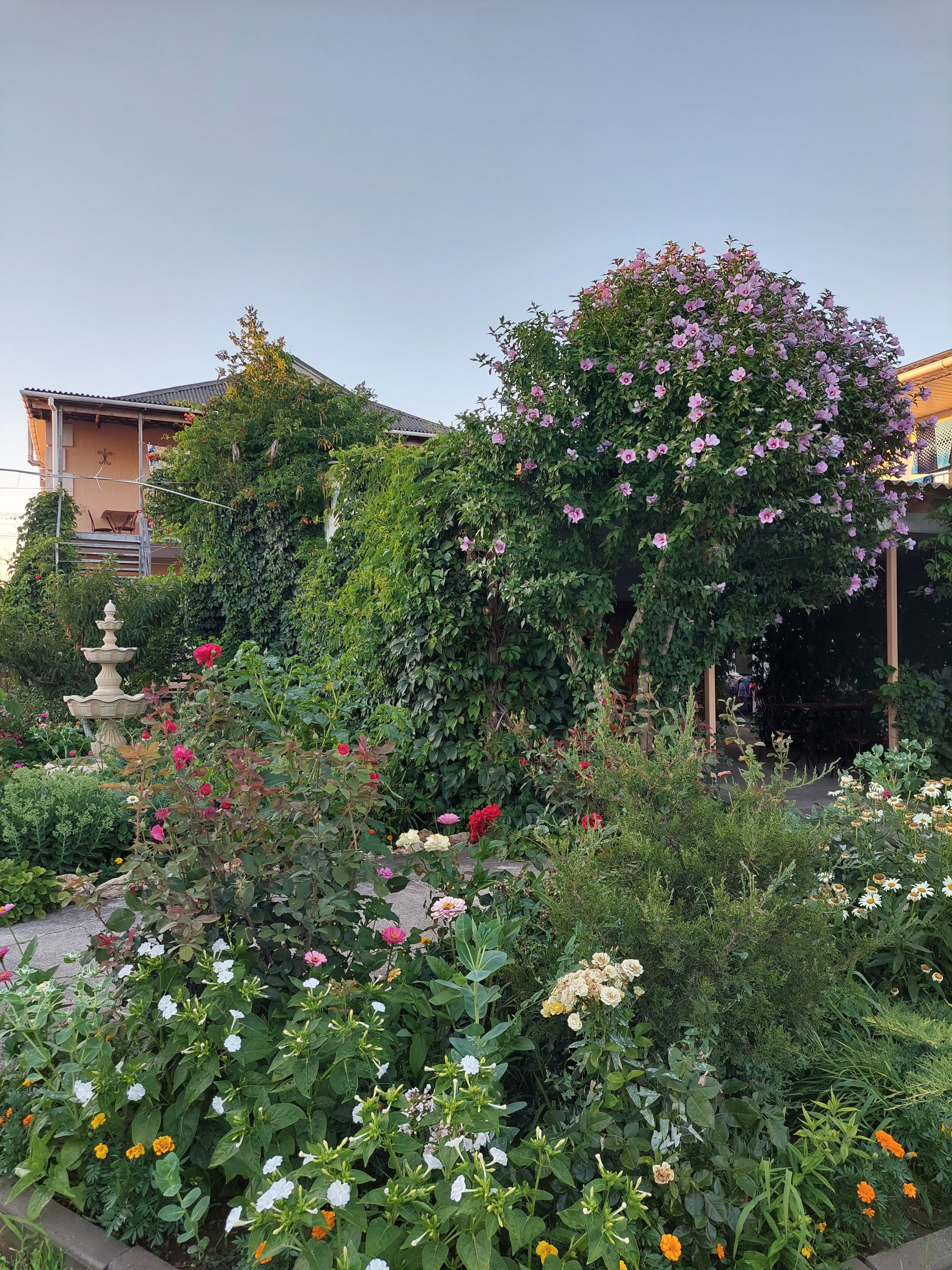 Фото Солнечный домик