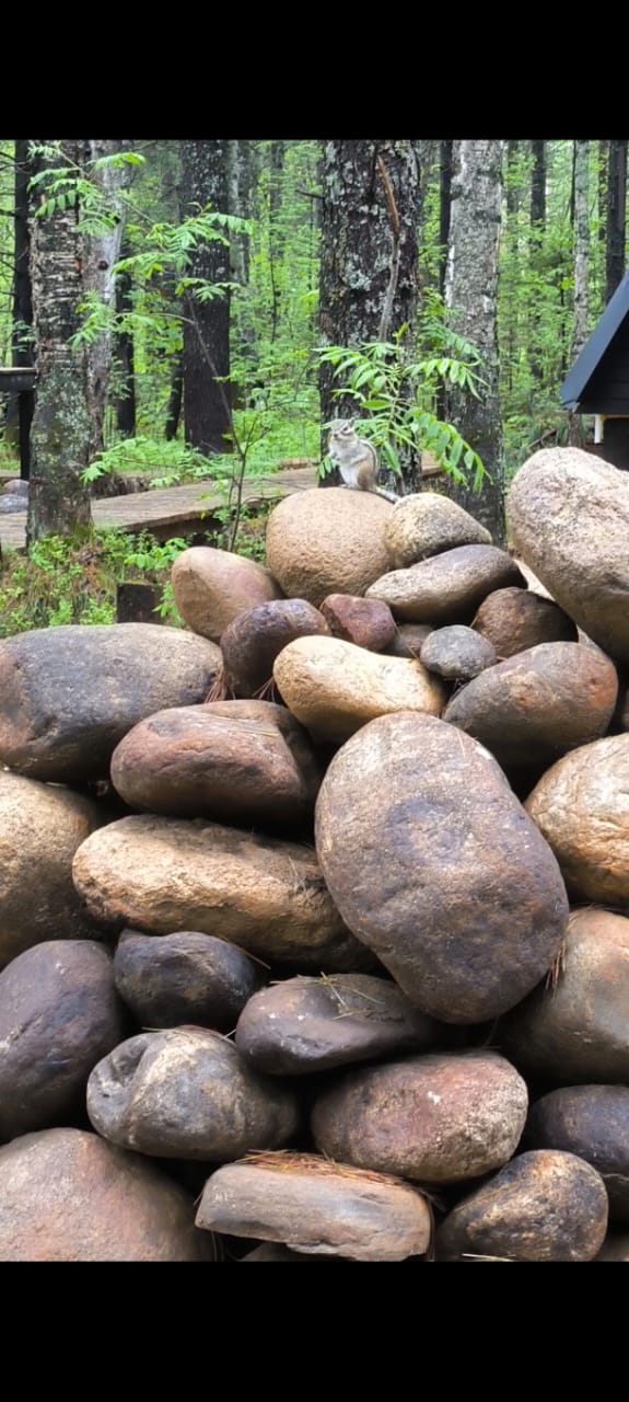 Фото Тэнгис