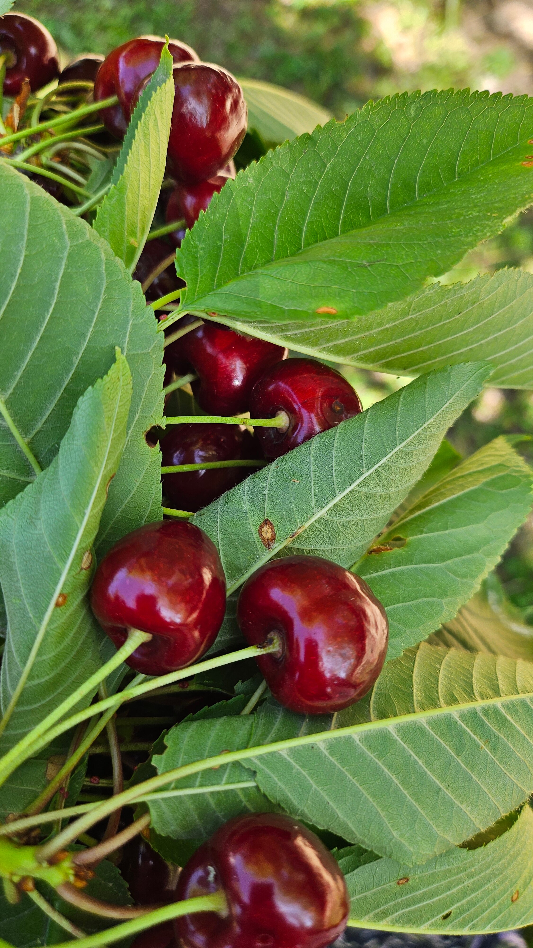 Фото Рассвет