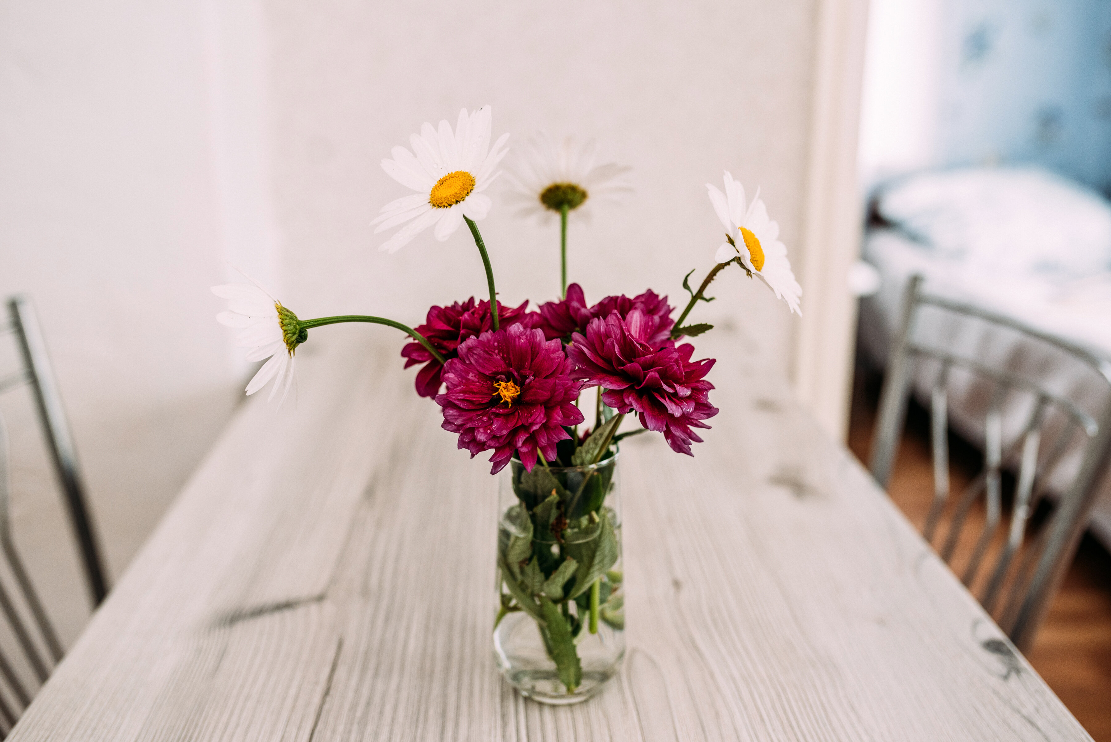 Фото Камменка