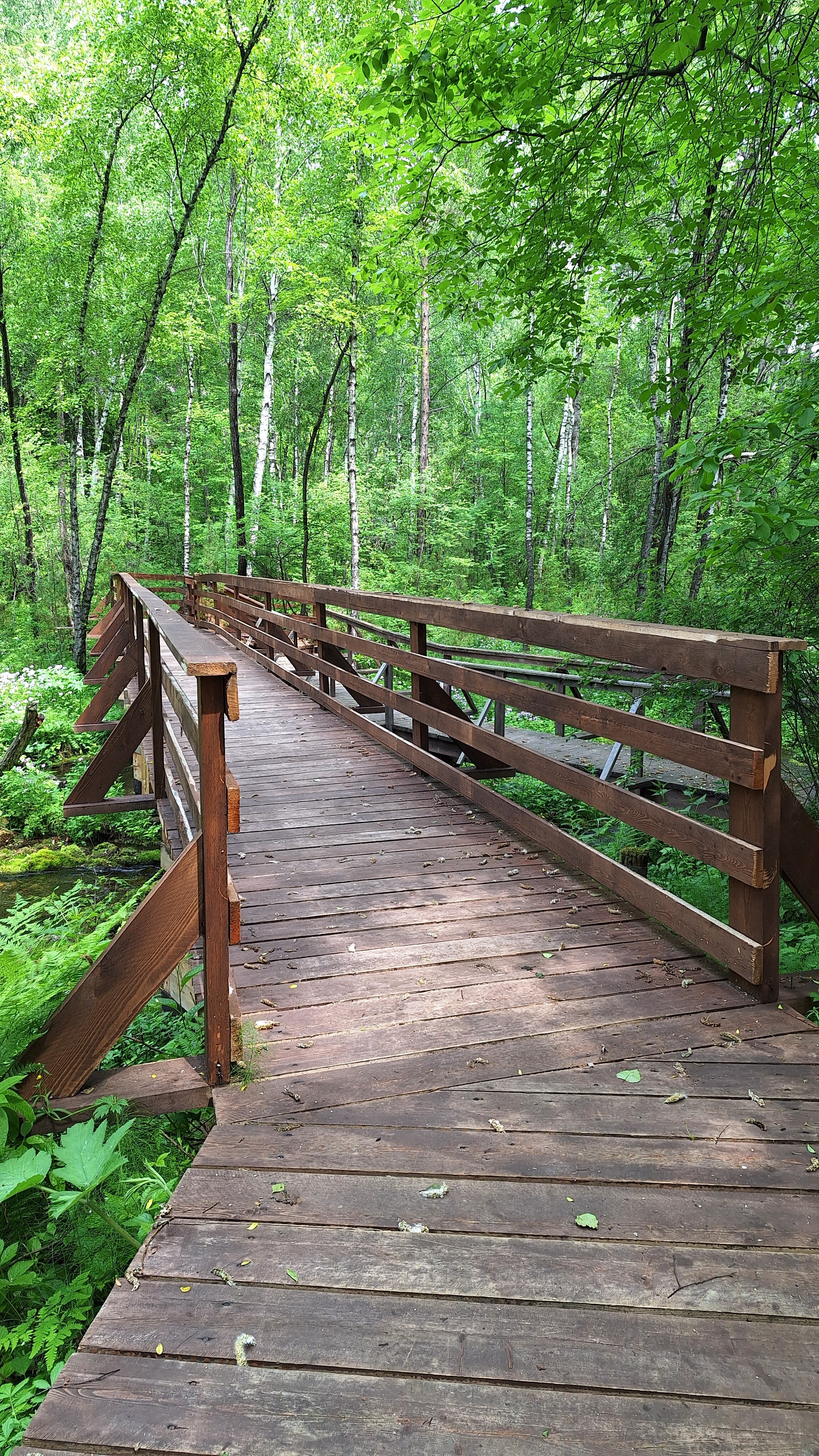 Фото Байкал Делайт