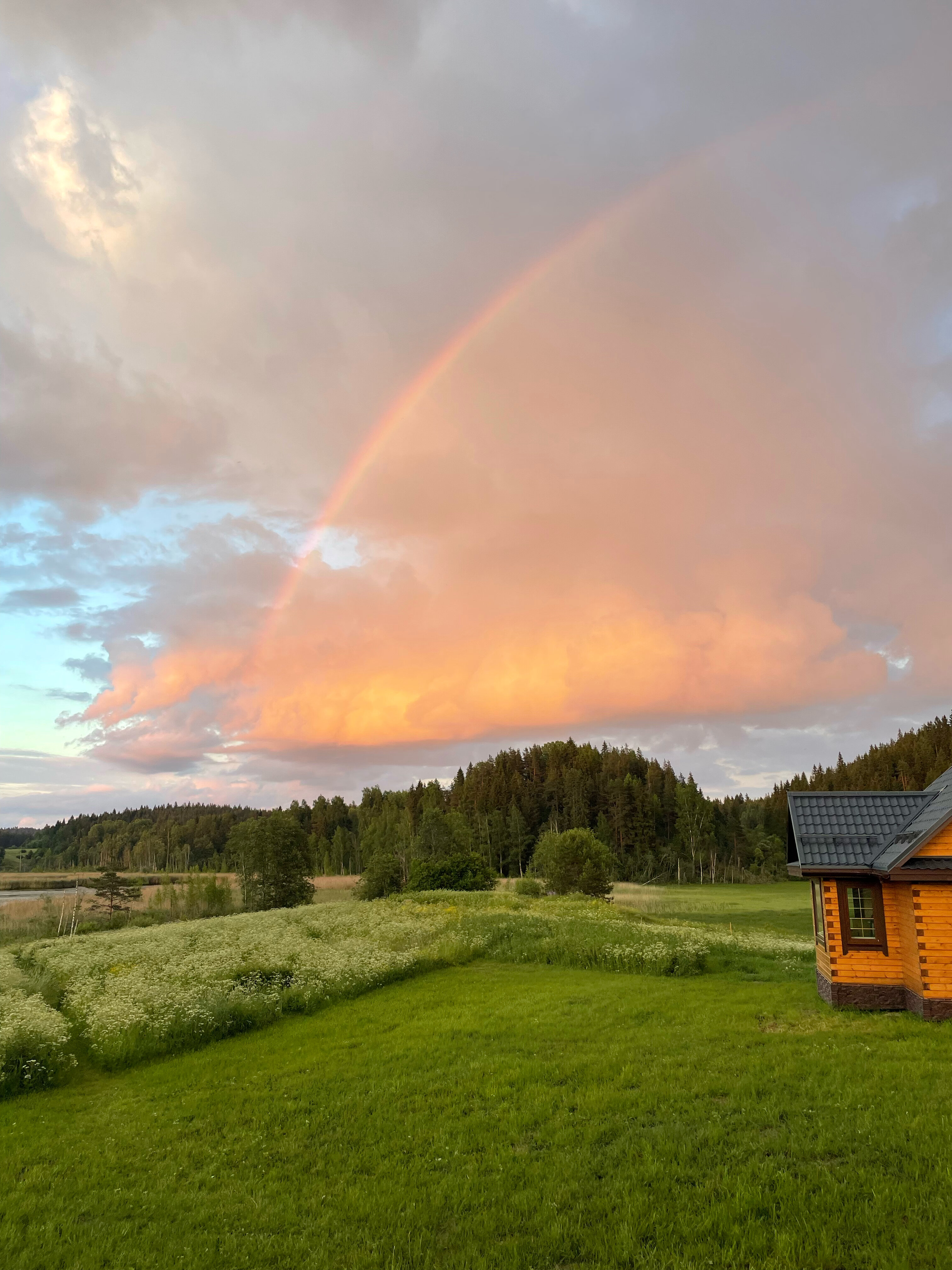 Фото Киркколампи