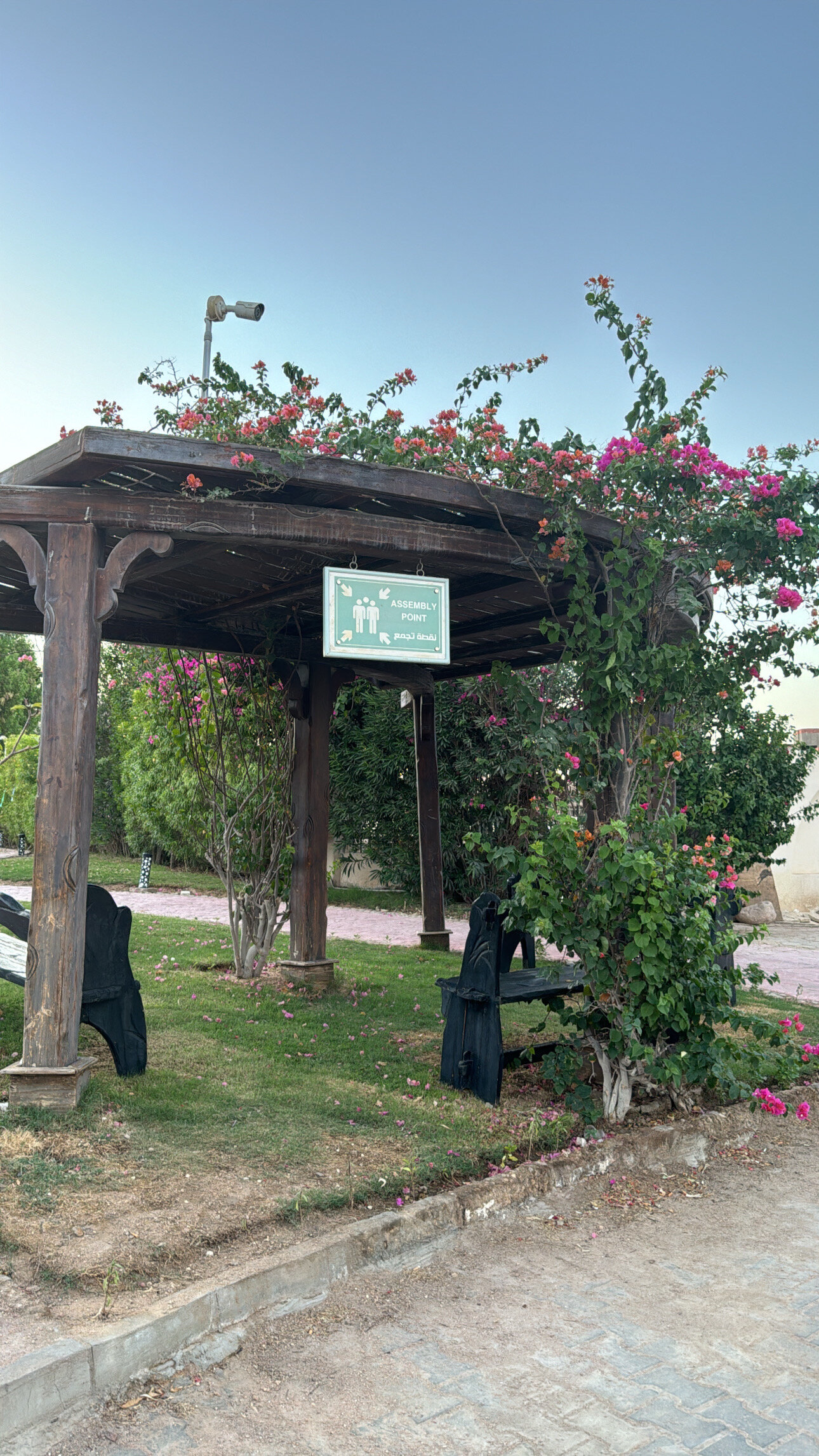 Фото Ivy Cyrene Island Aqua Park Resort