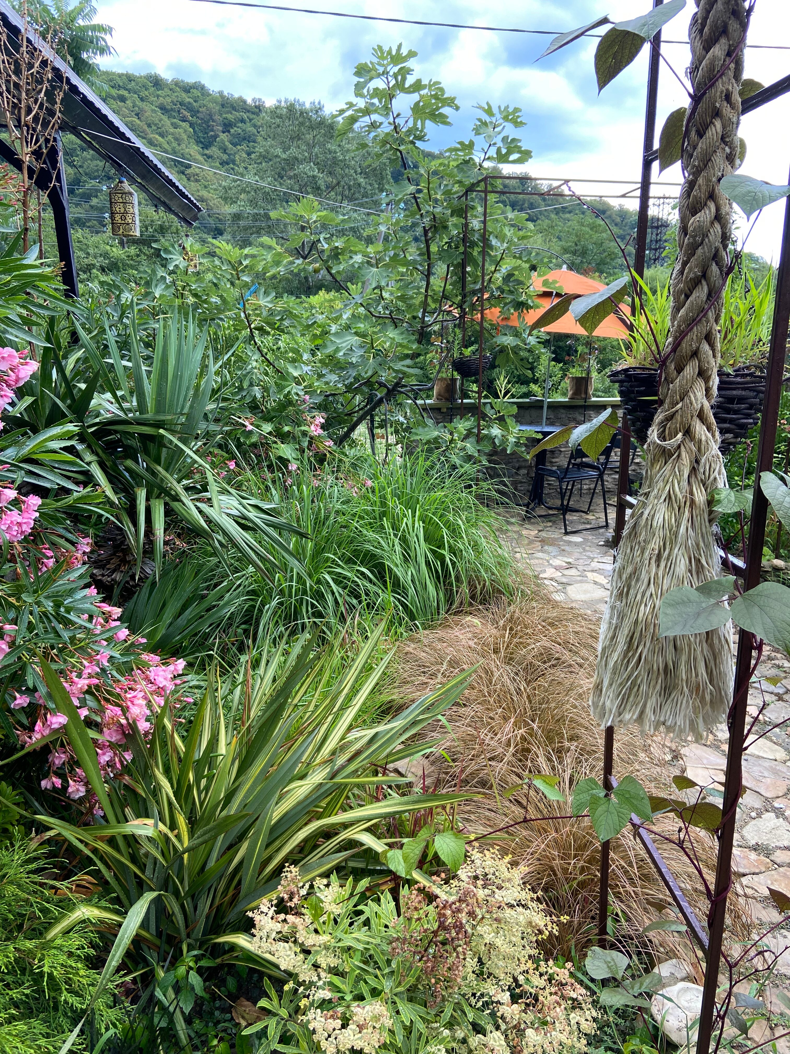 Фото Малютина Дача