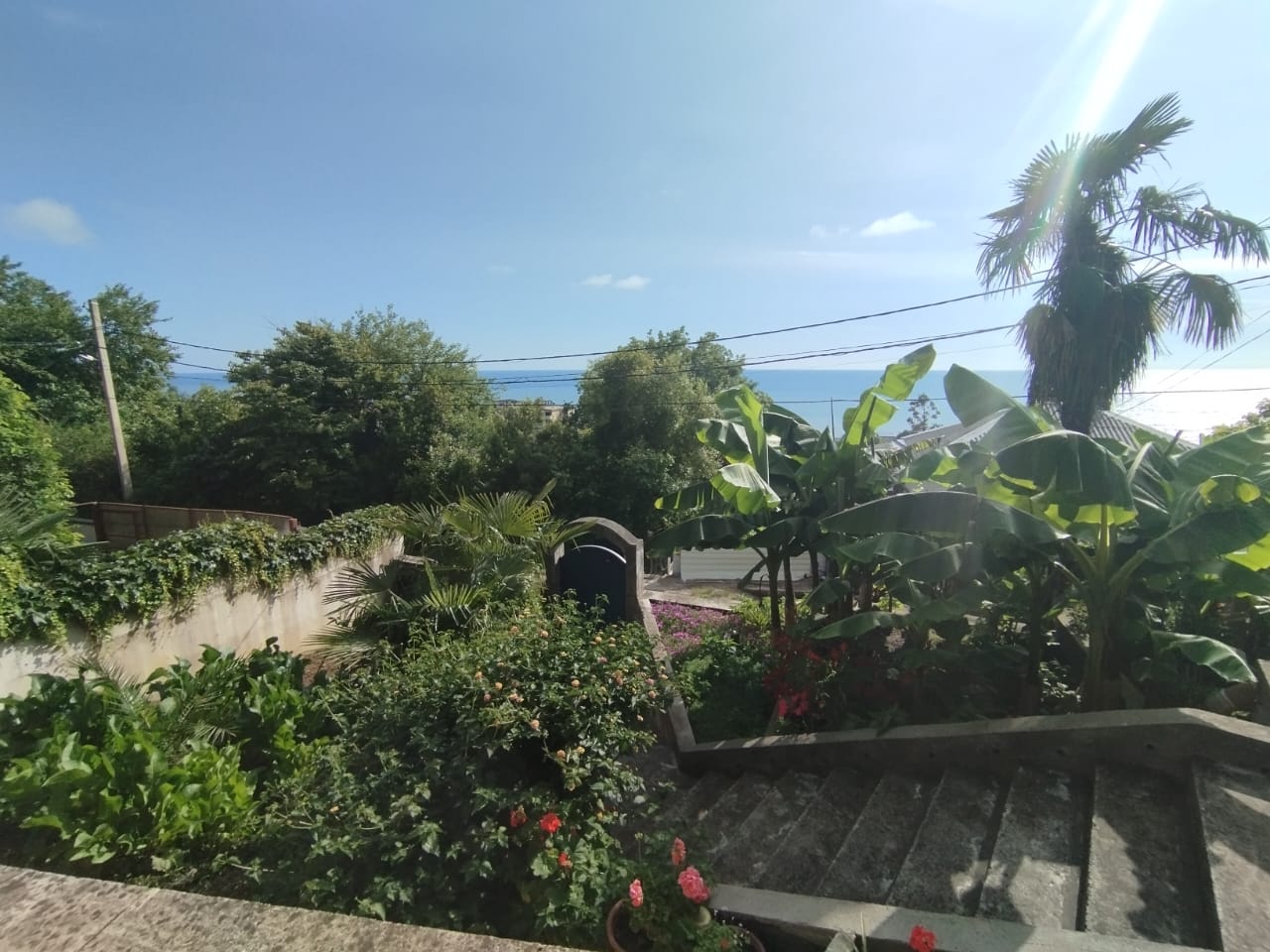 Фото У Артема и Сусанны