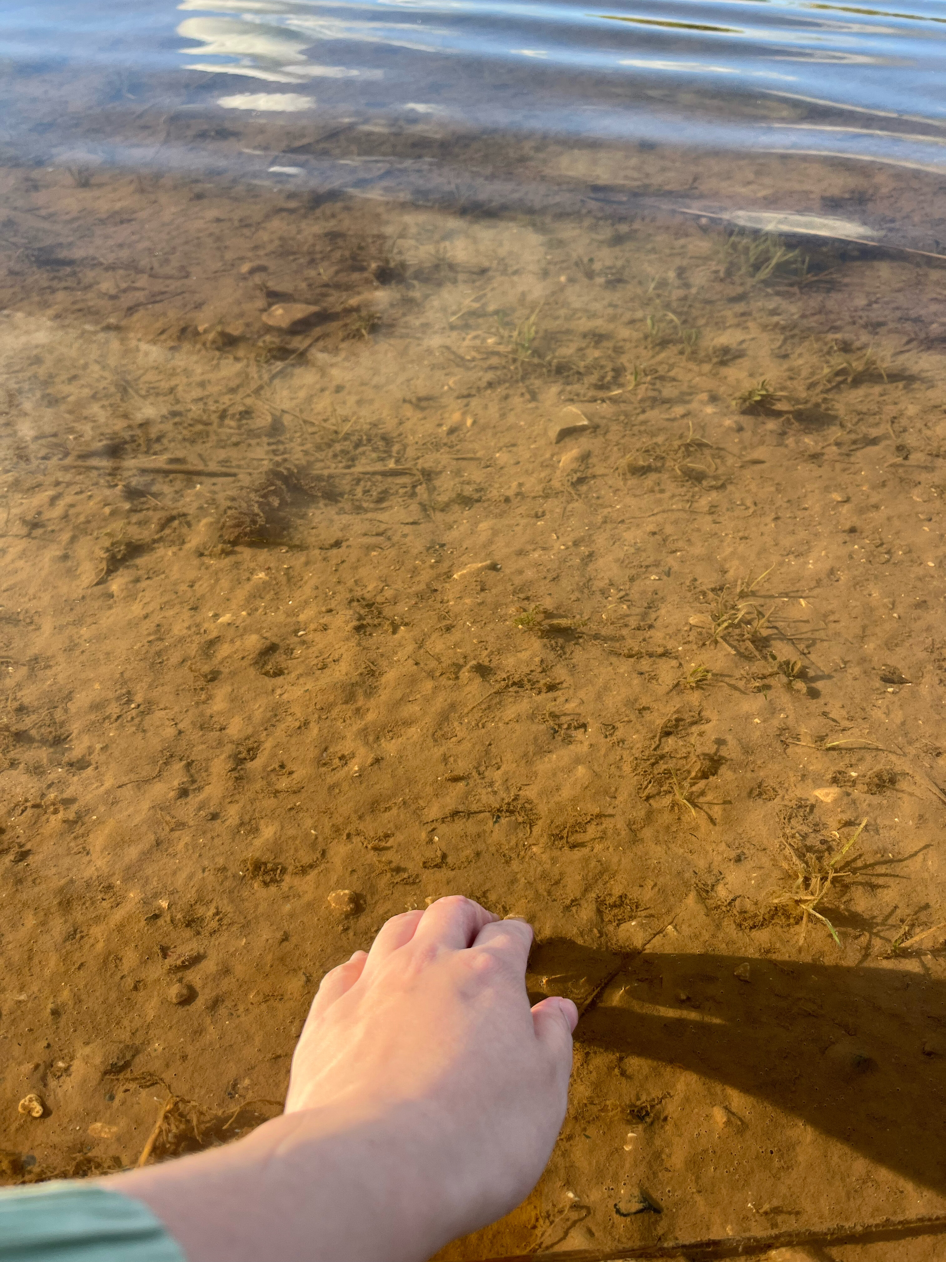 Фото Усадьба Святогорье