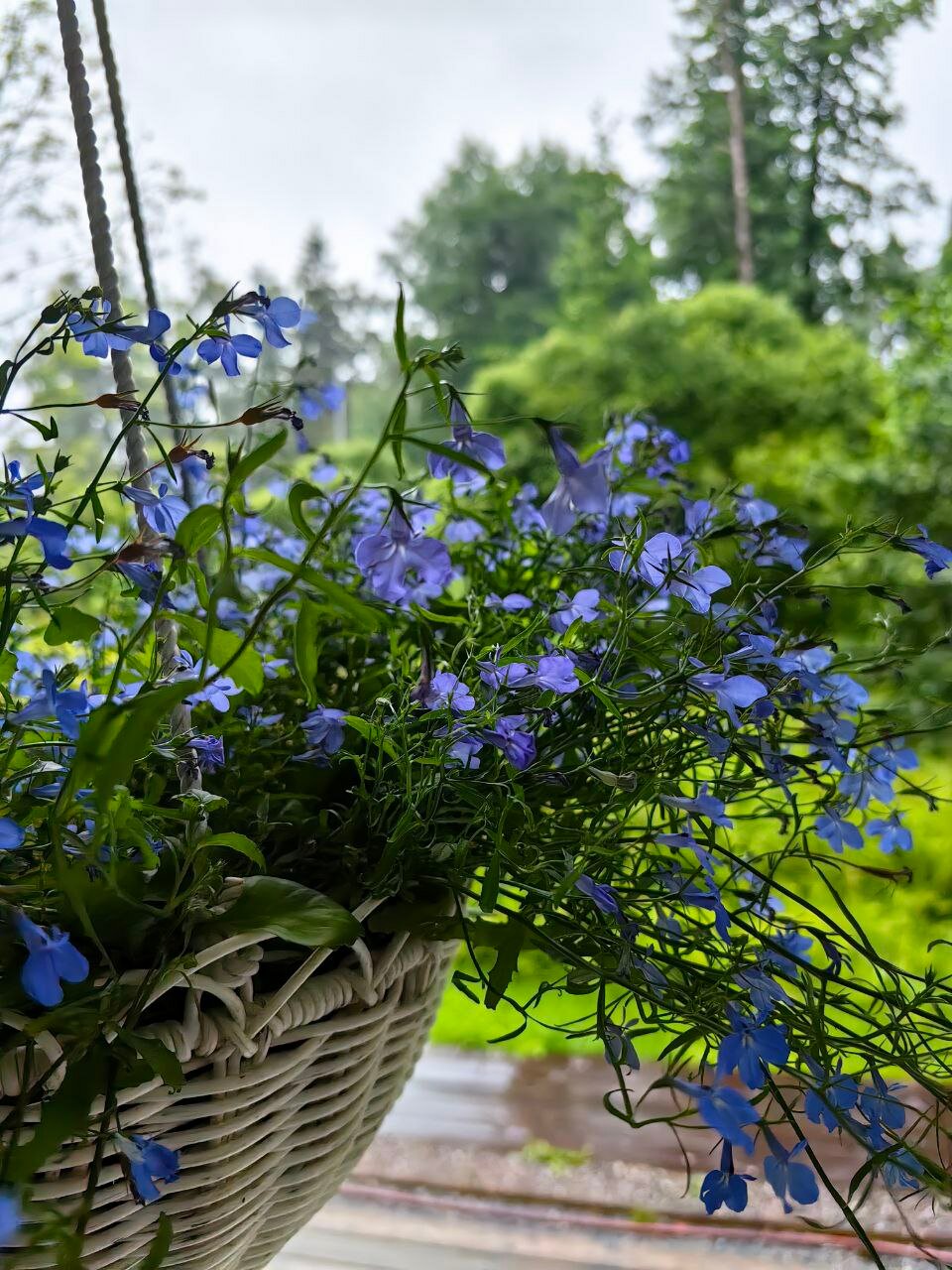 Фото Дача № 9