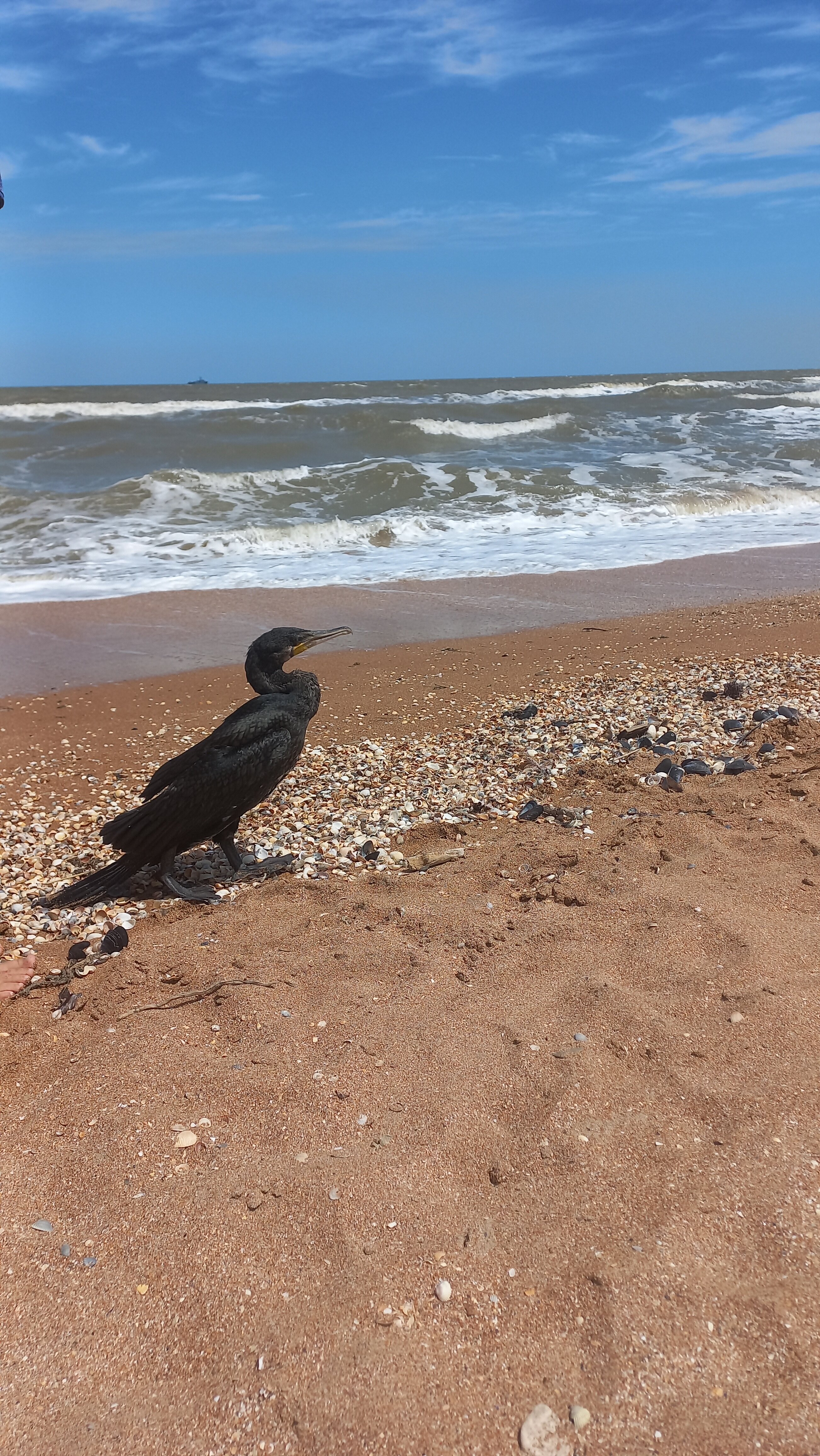 Фото Акварель Клуб