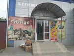 Юнус (Kyrgyzstan Street, 30), grocery