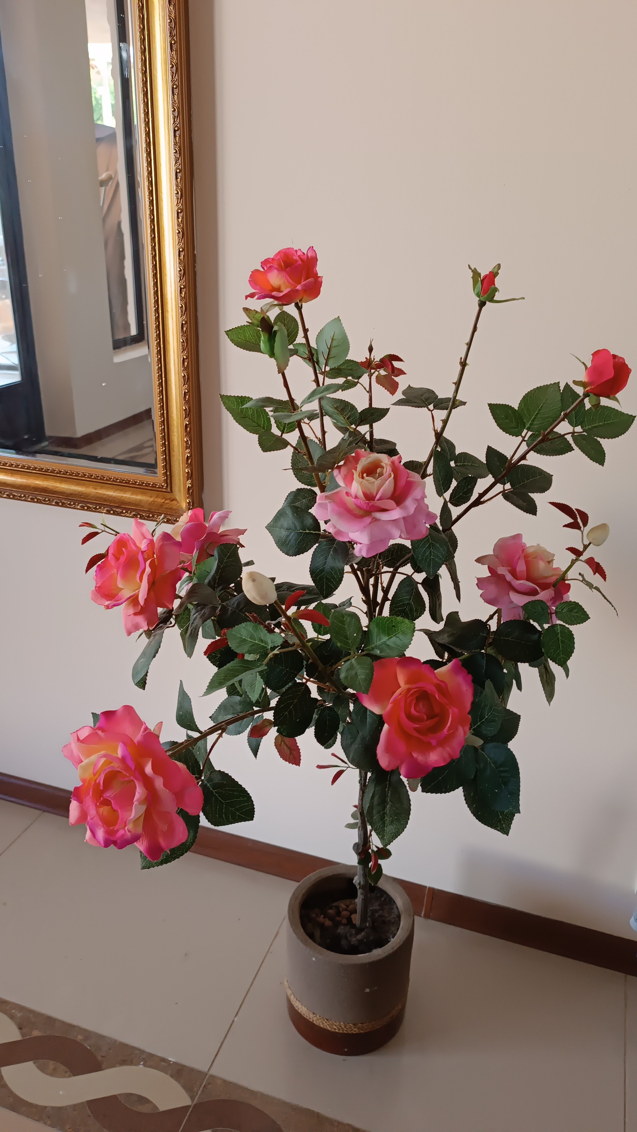 Фото Семейный