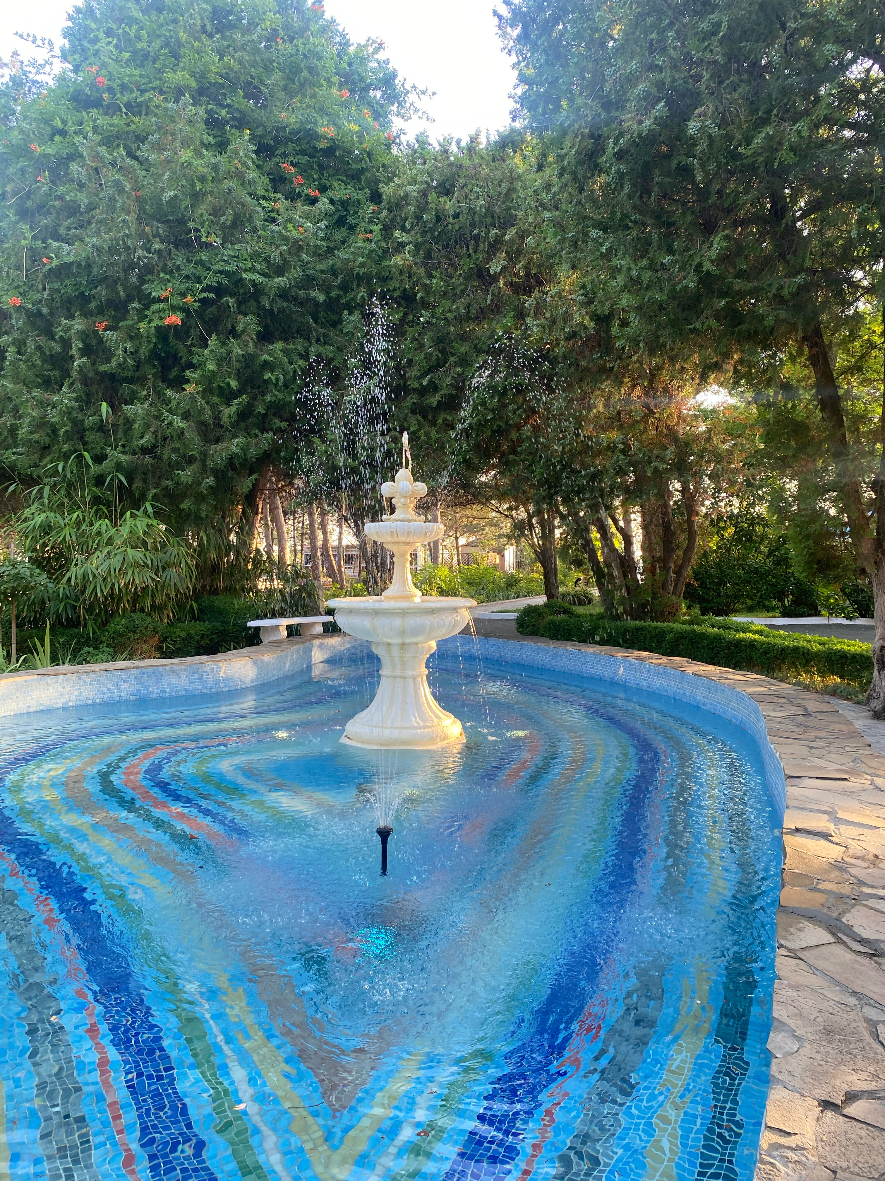 Фото Солнечный