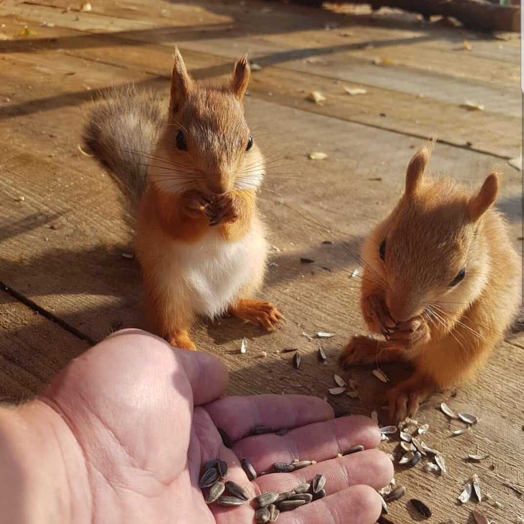 Фото Ярославские озерки