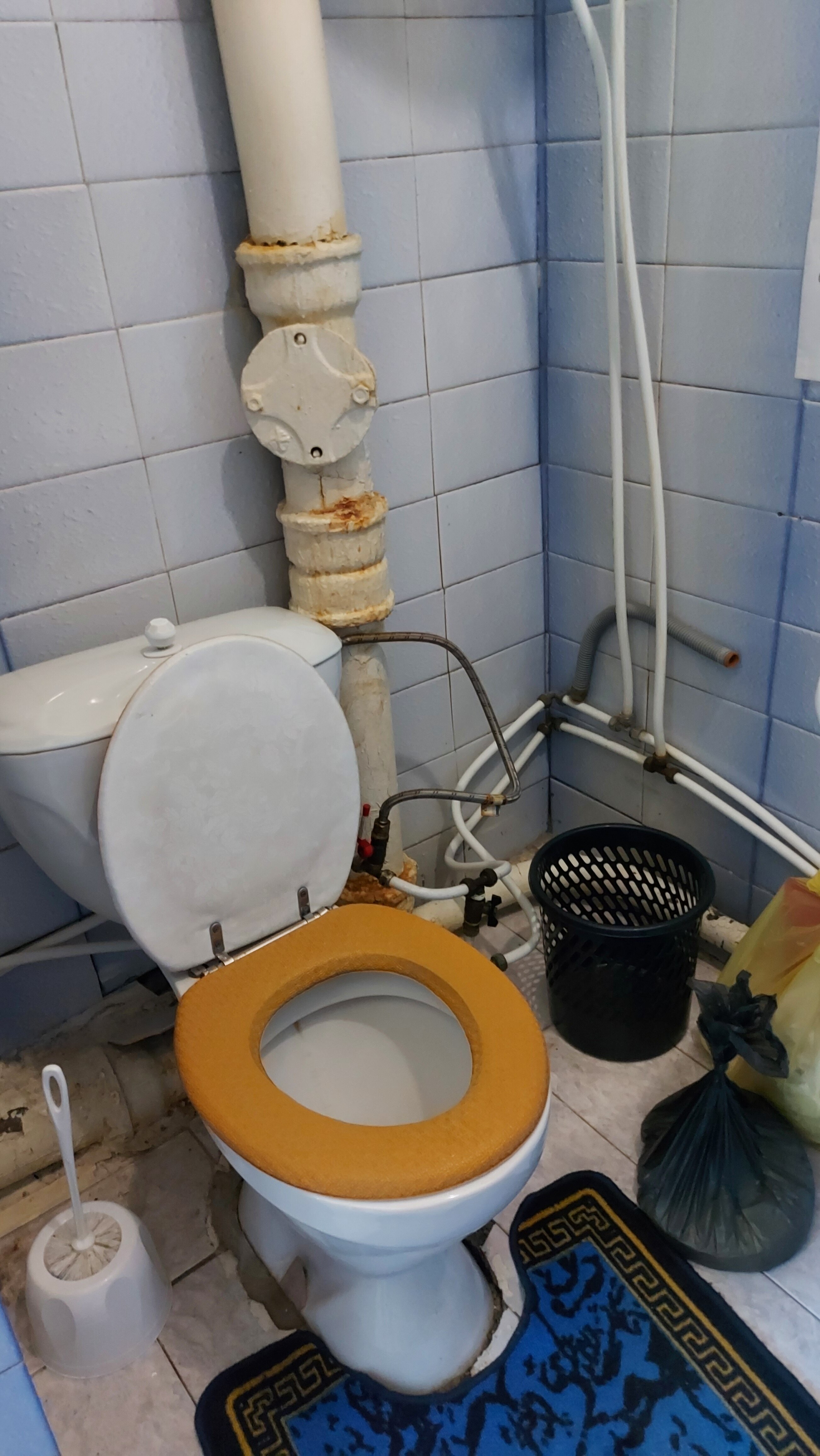 Фото Сусуман Золото