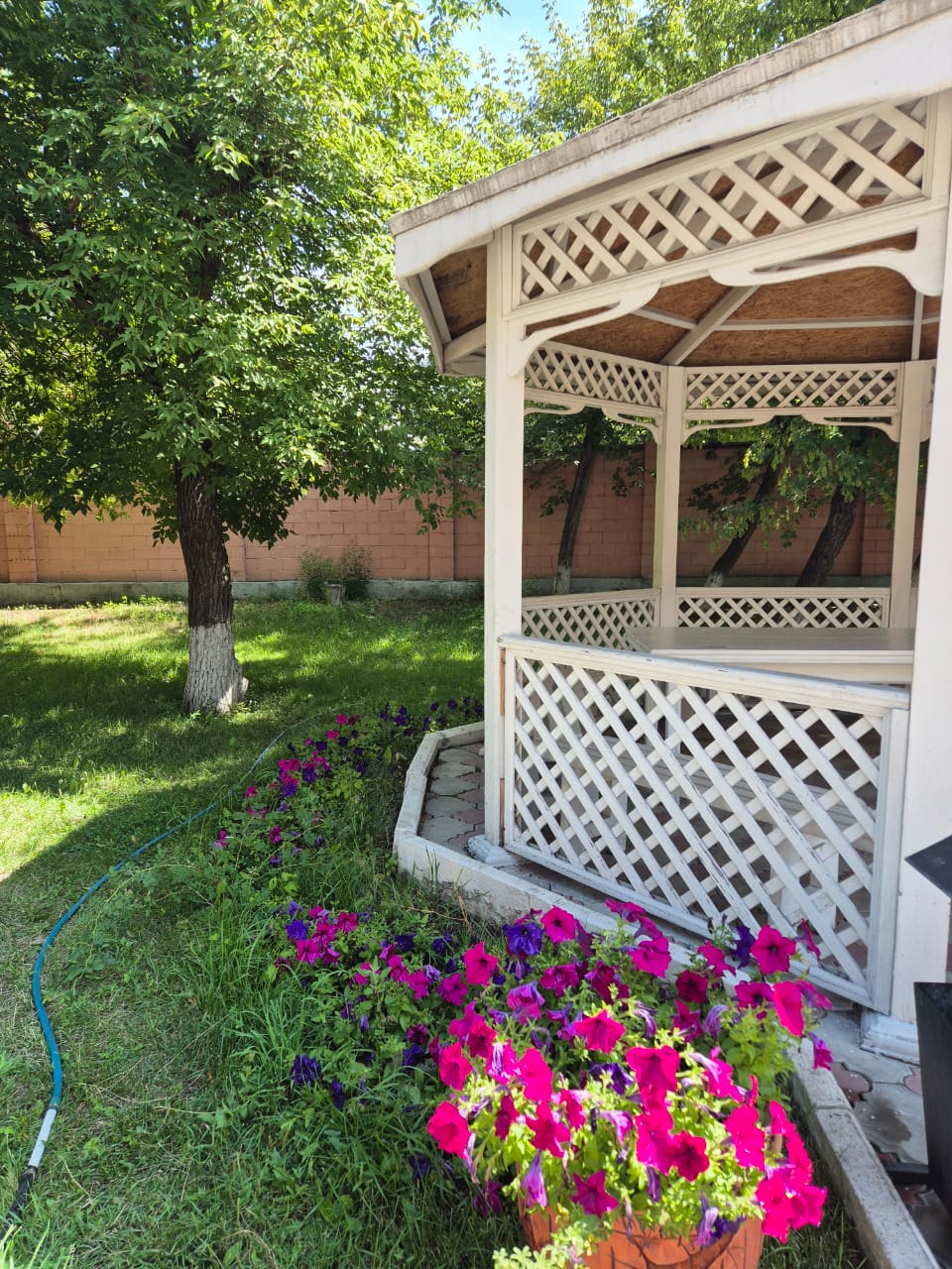 Фото Амилия