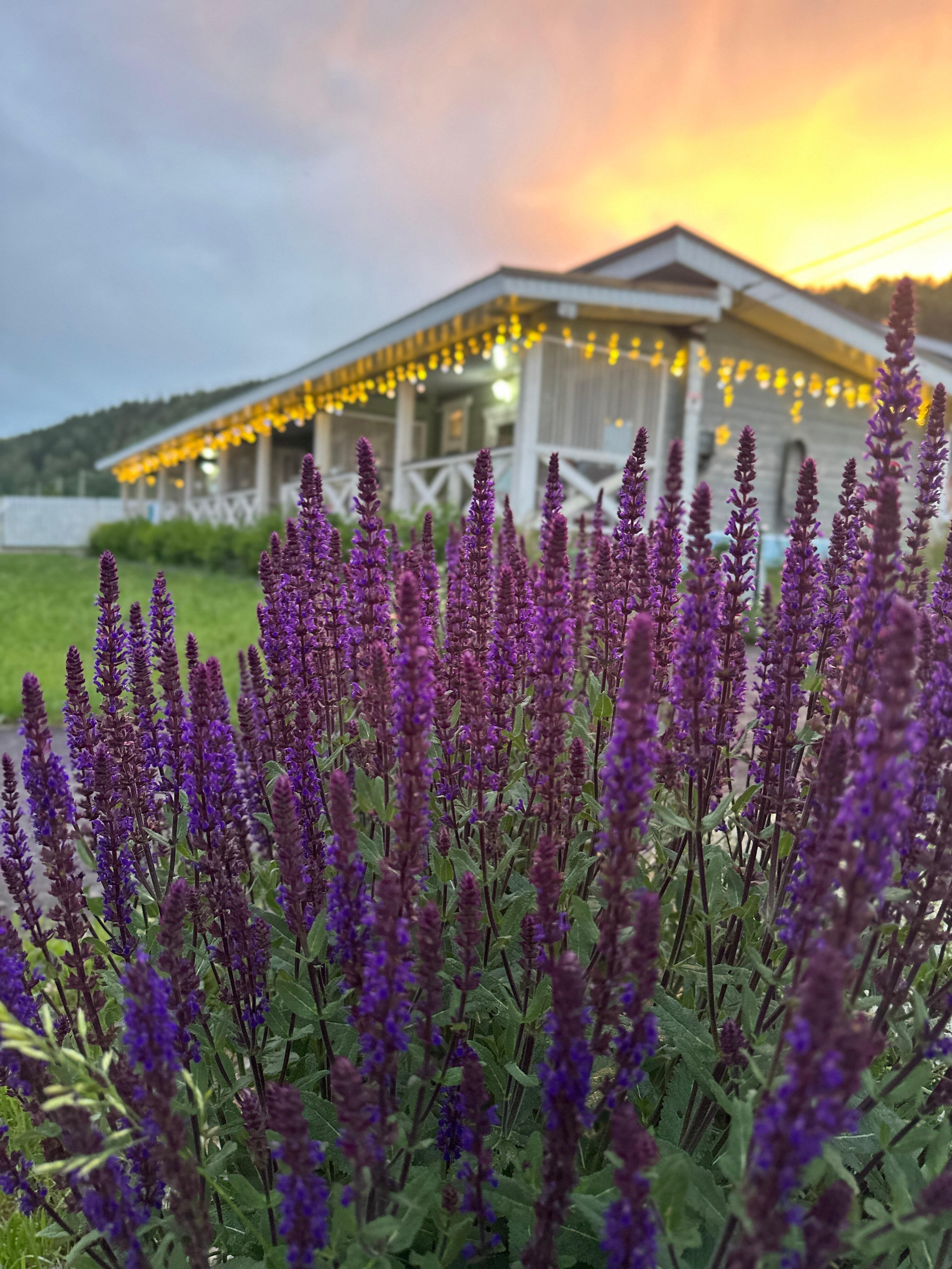 Фото Семейные истории