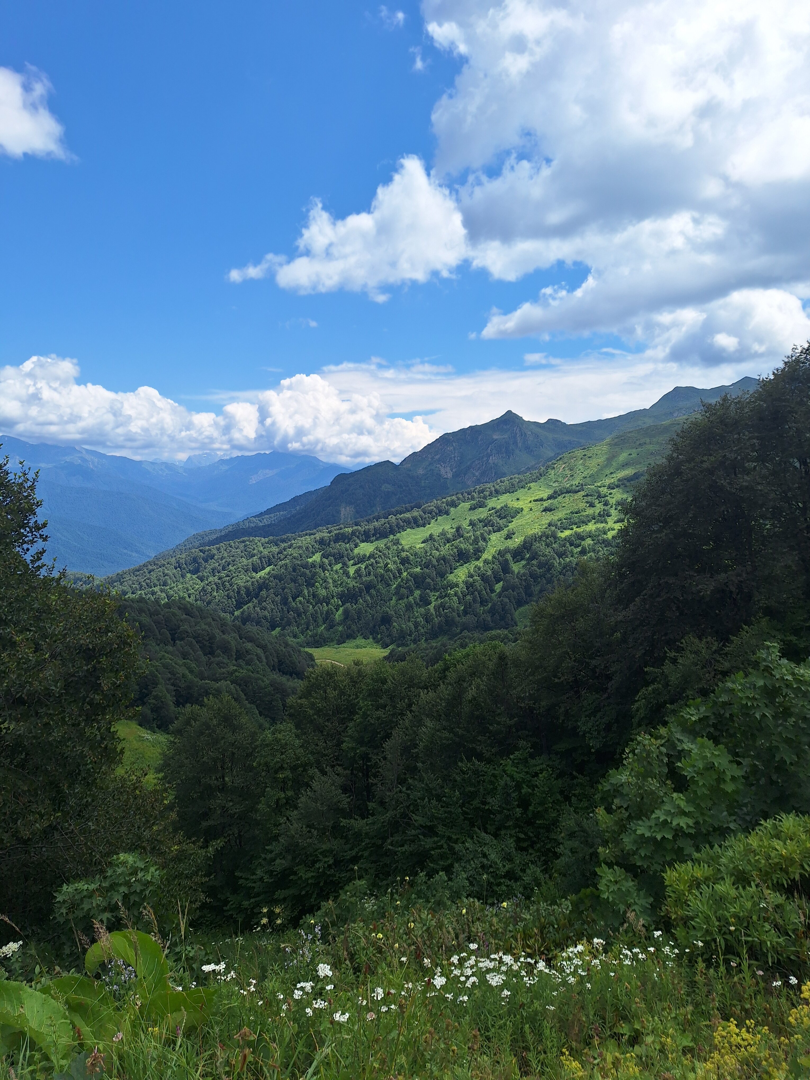 Фото Райский уголок в Абхазии