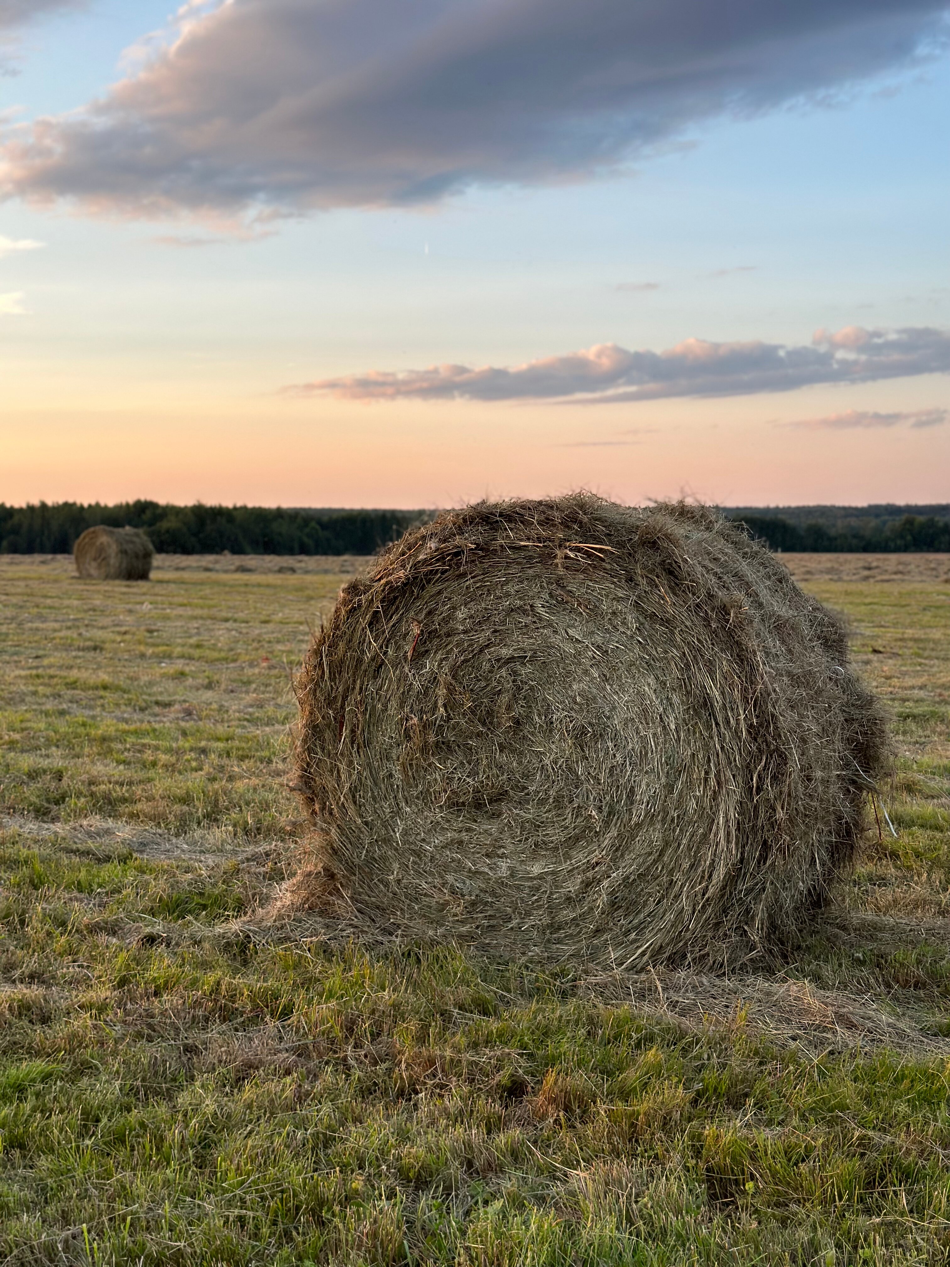 Фото Медвежье Урочище