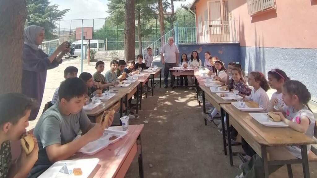 Primary school Ahmet Faruk Corekci Ilkogretim Okulu, Merzifon, photo