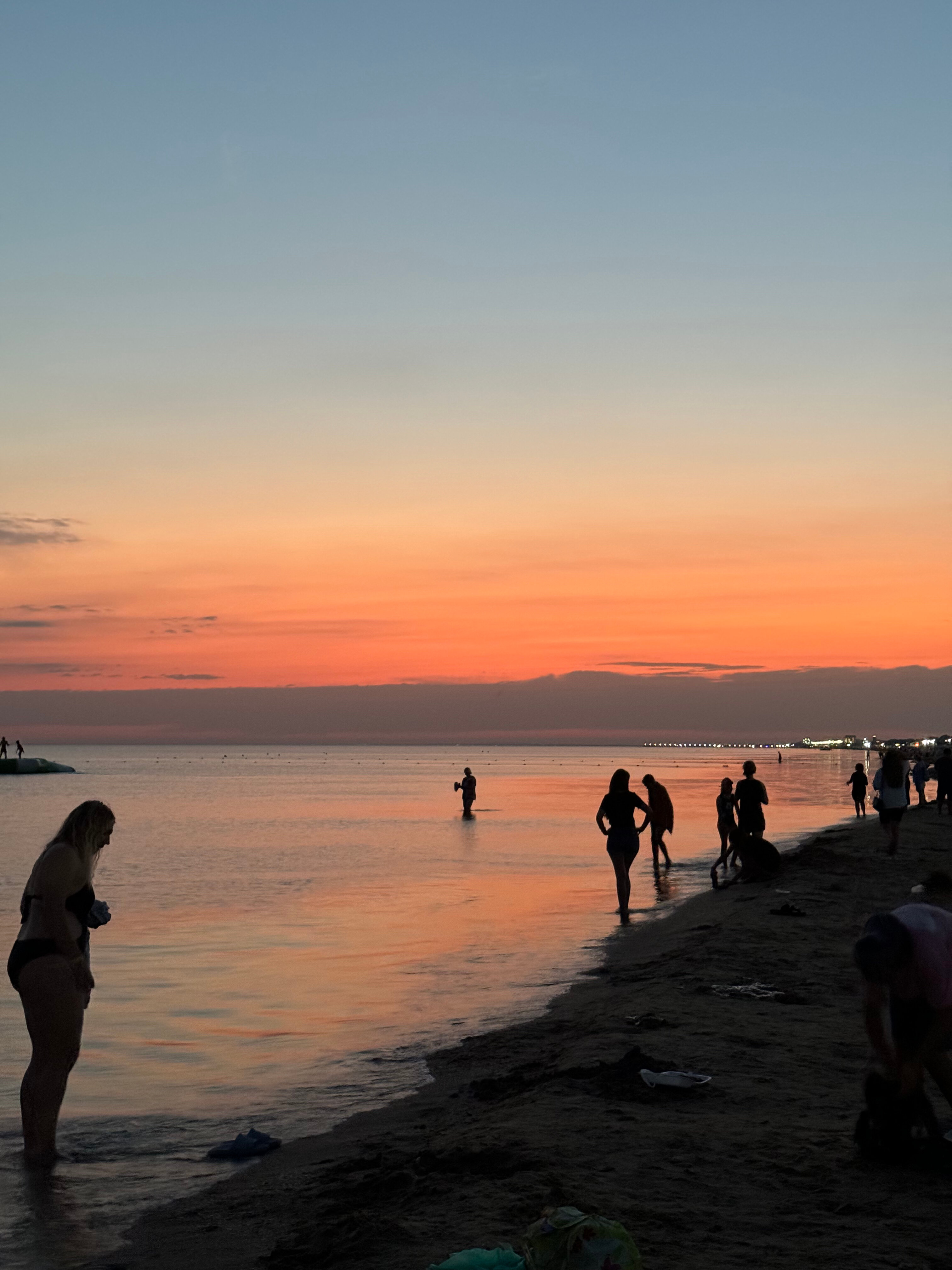 Фото Журавли