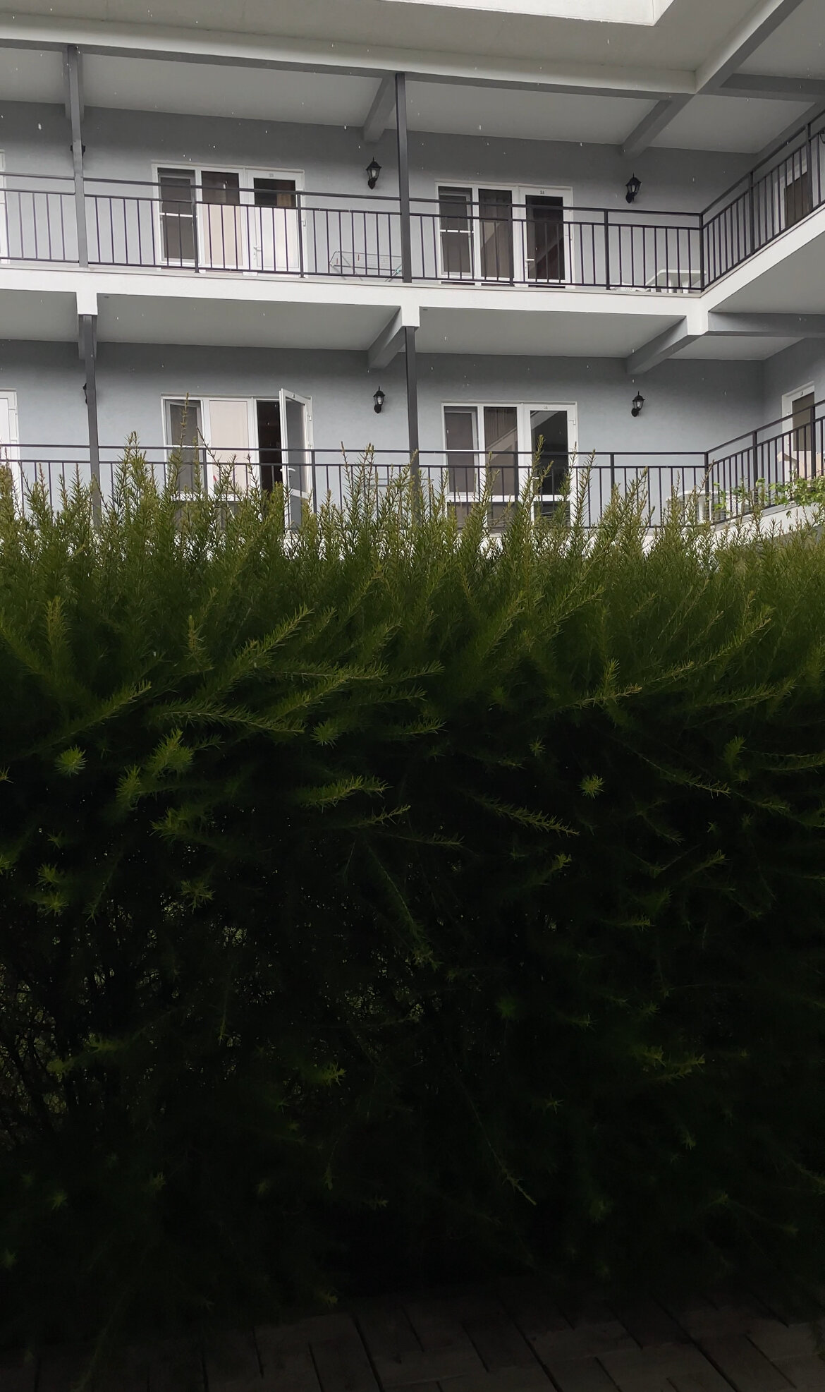 Фото Mandarin Hotel