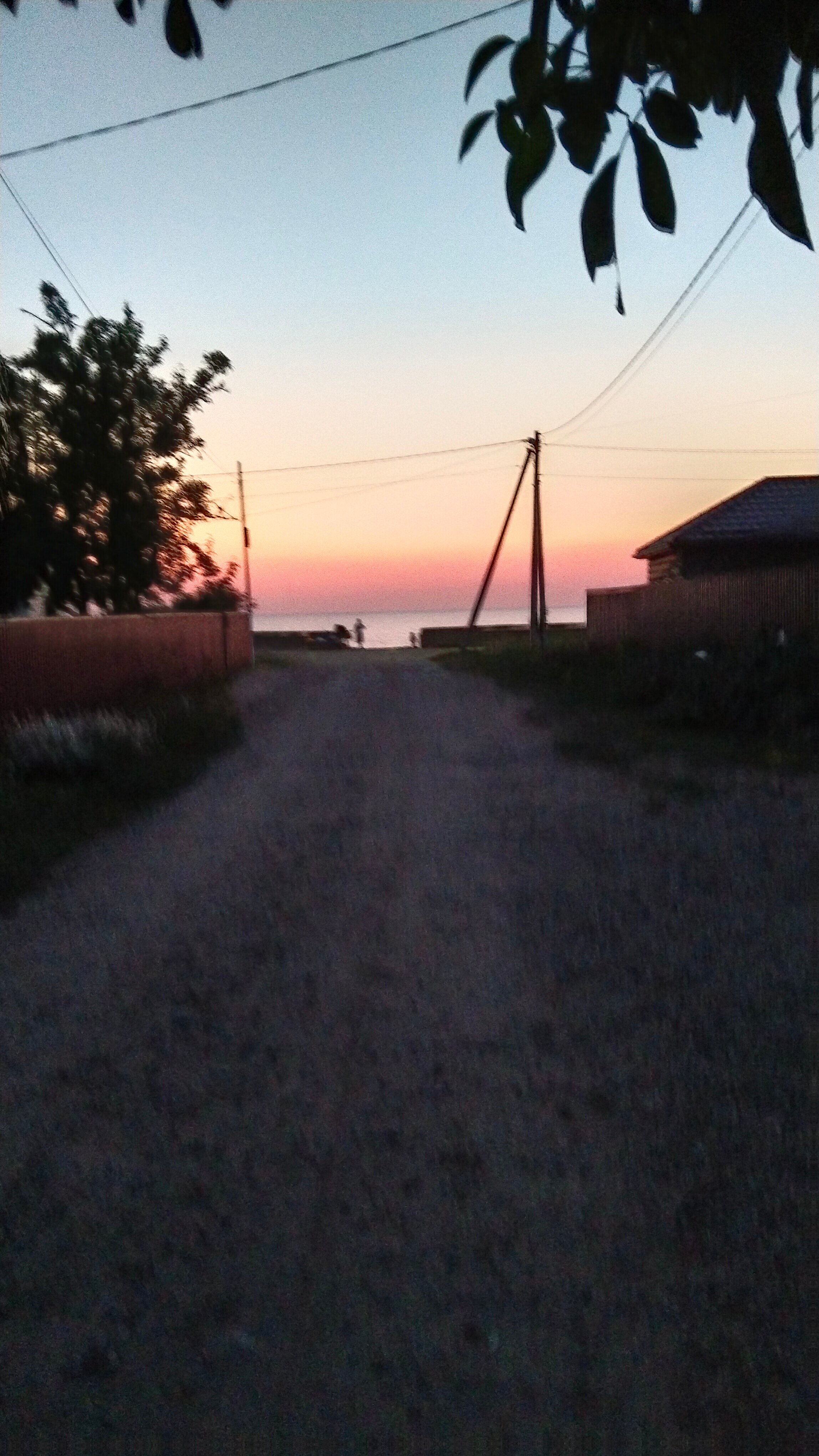 Фото 38 Попугаев