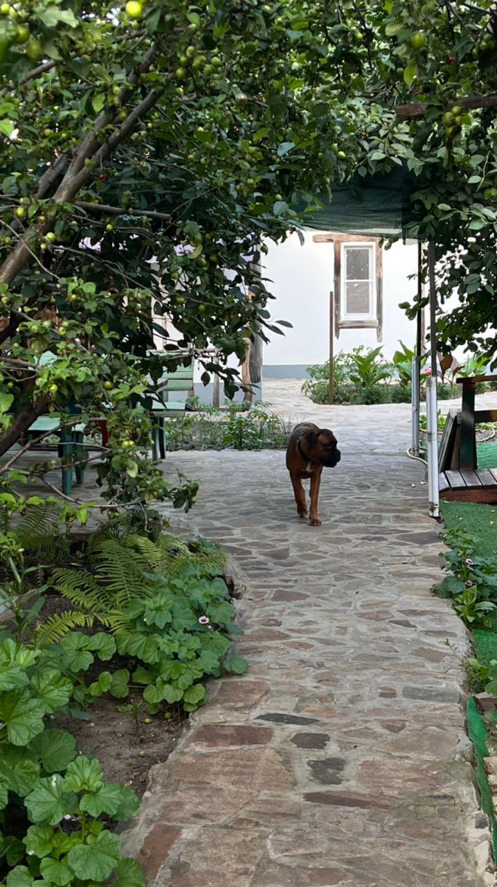 Фото Добродом