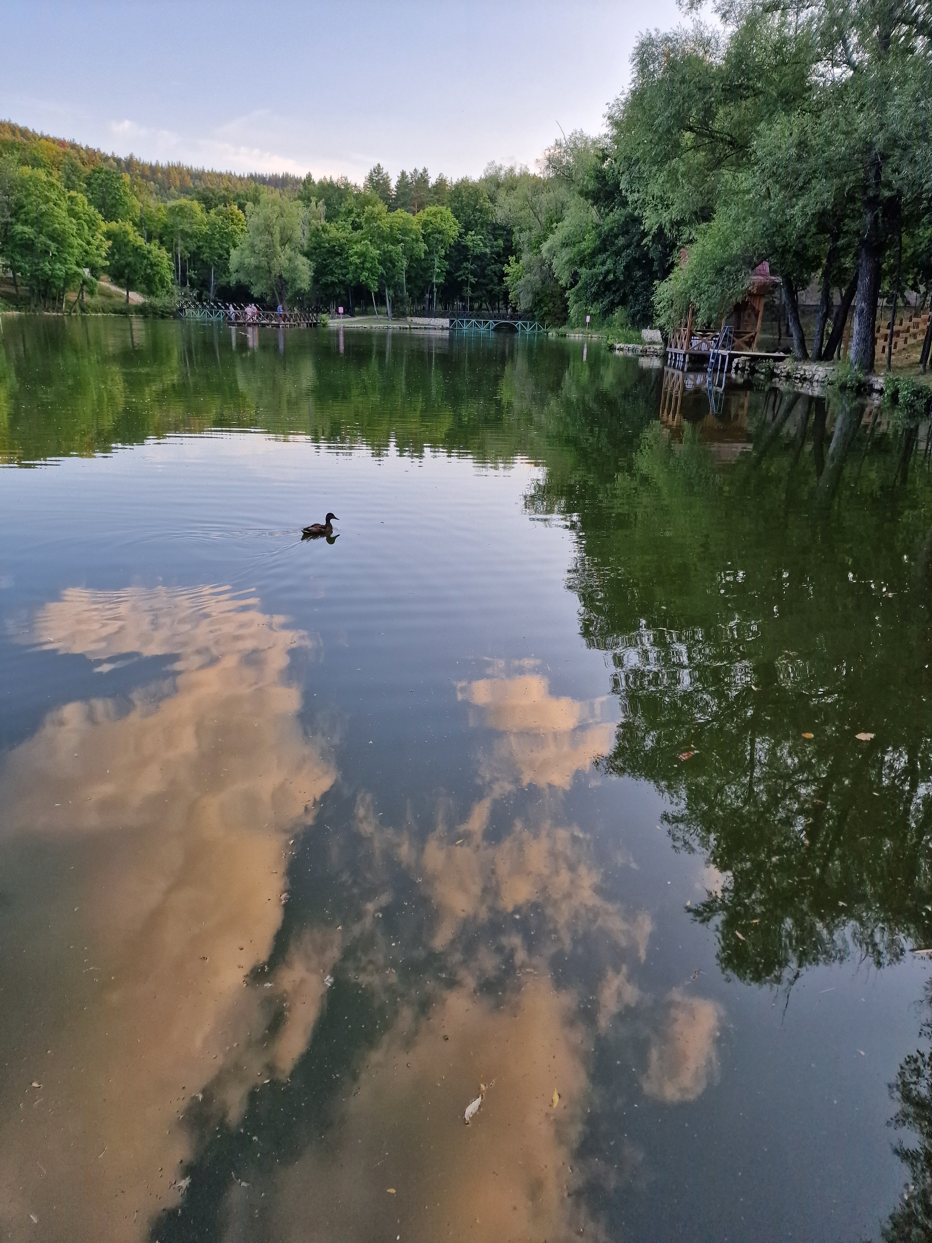 Фото Хвалынский