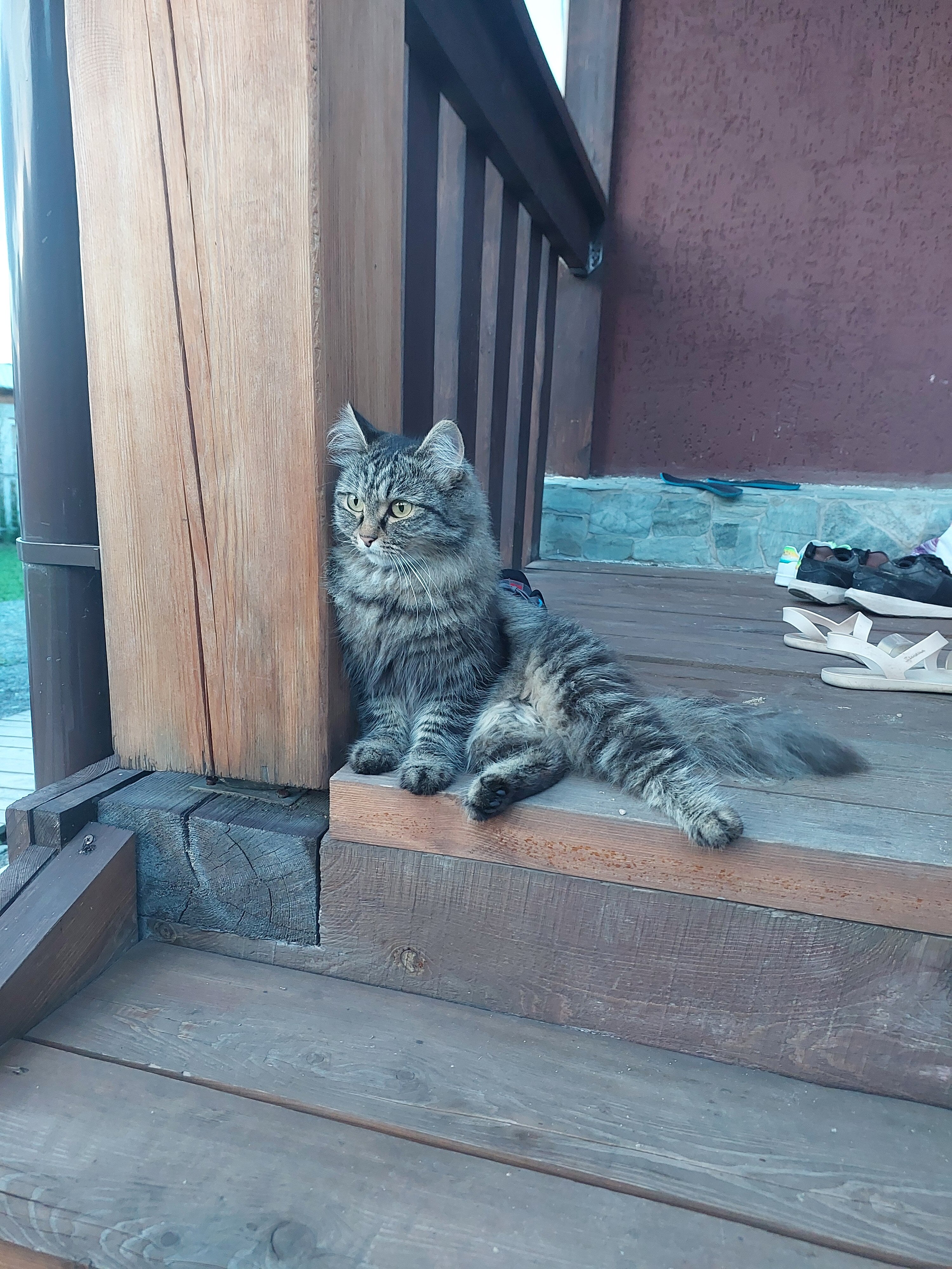 Фото Дом у реки