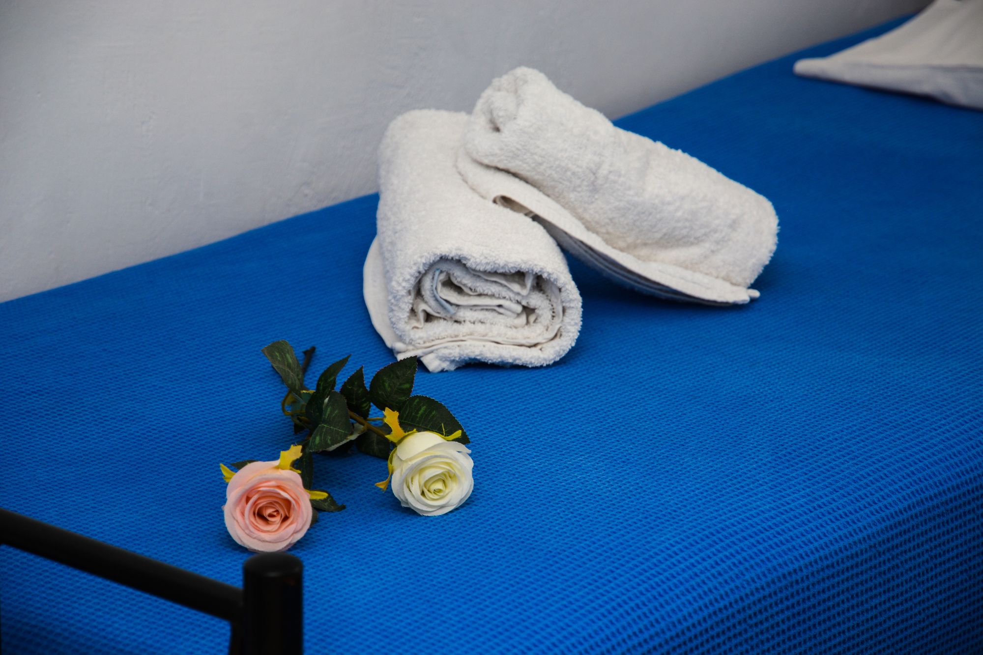 Фото Studio Hermes