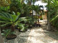 Фото The Kite Apartments