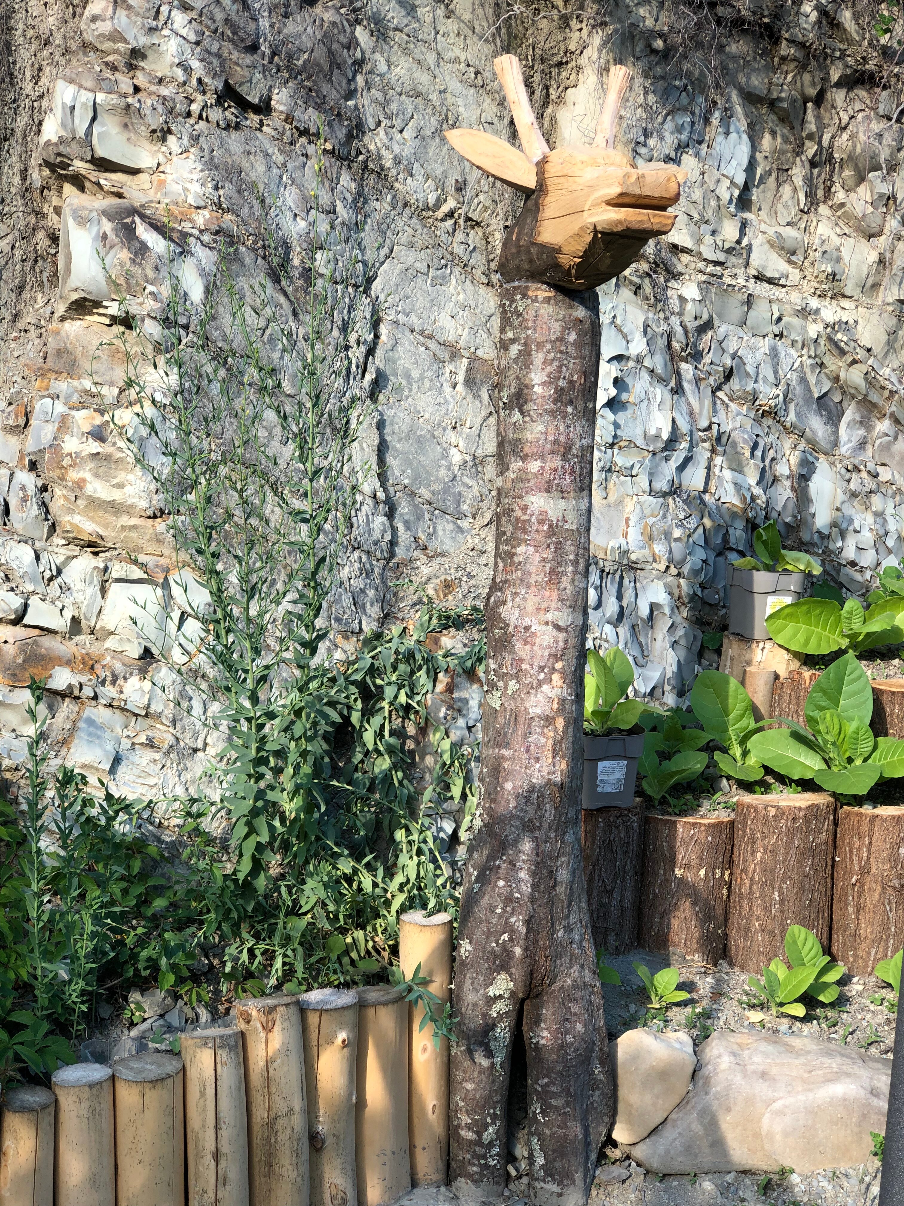 Фото Приморский