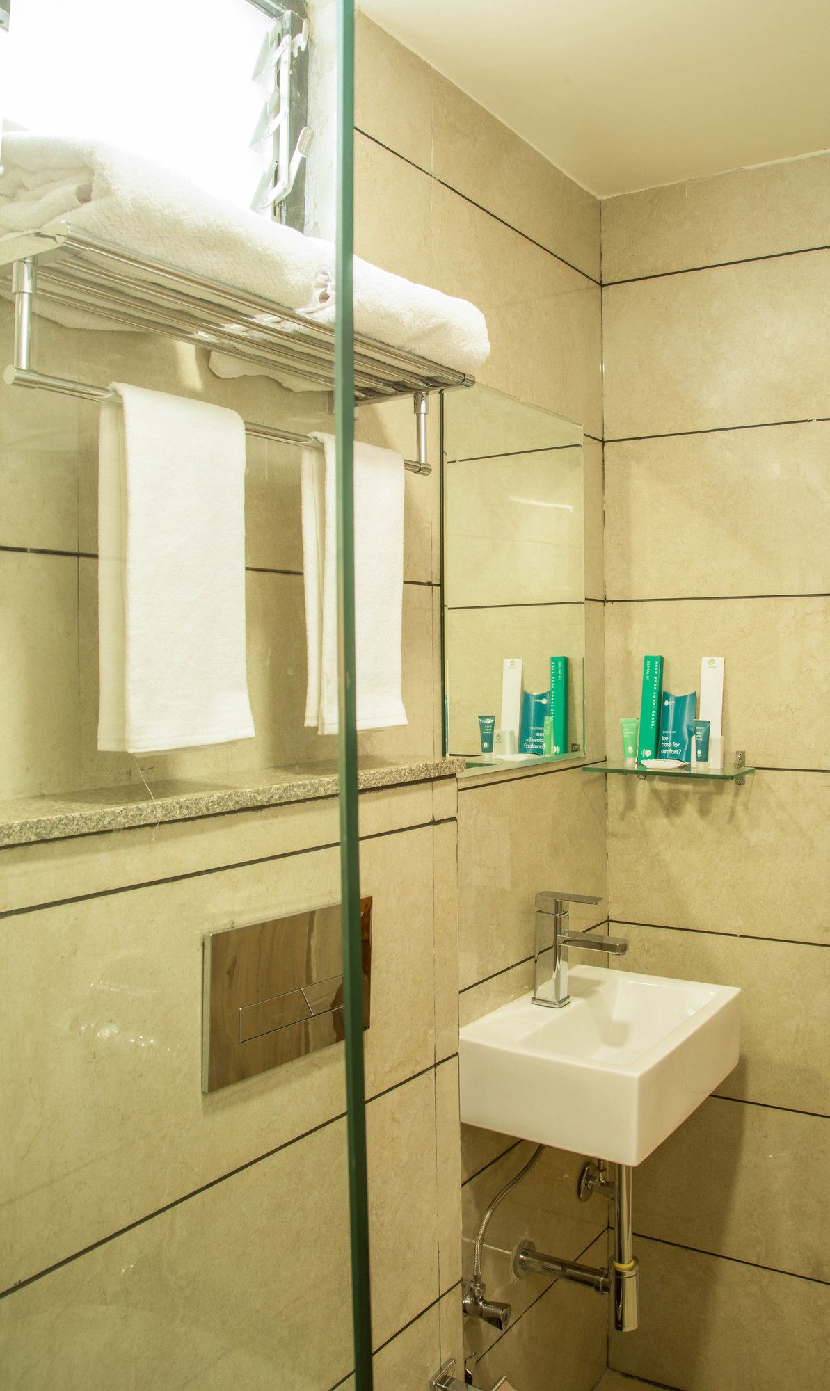 Фото Hotel Reva Regency