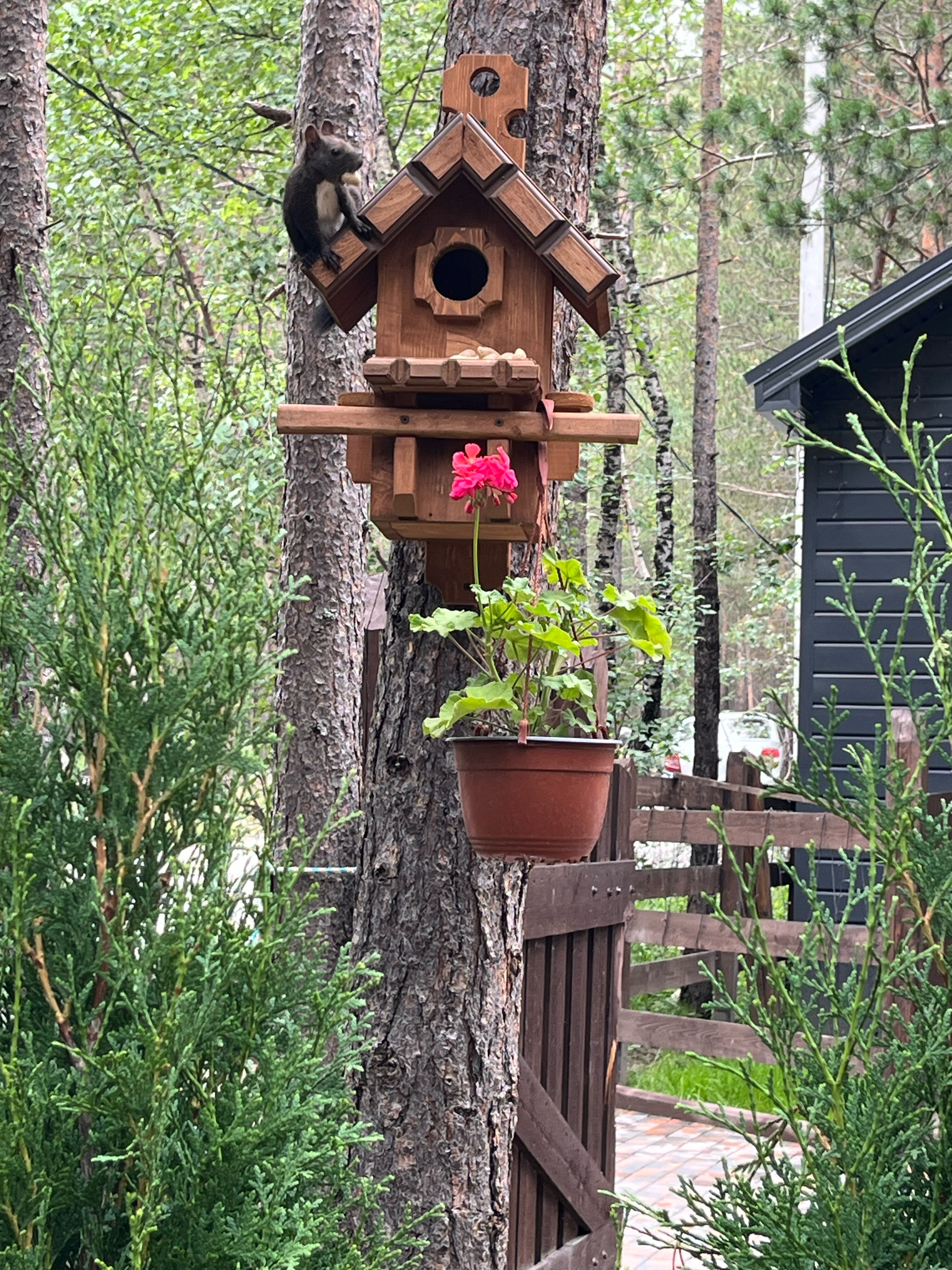 Фото Shale A-travel