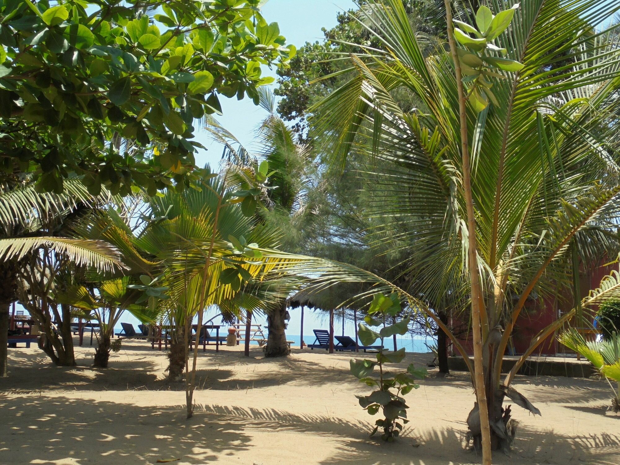 Фото New Robinson Plage