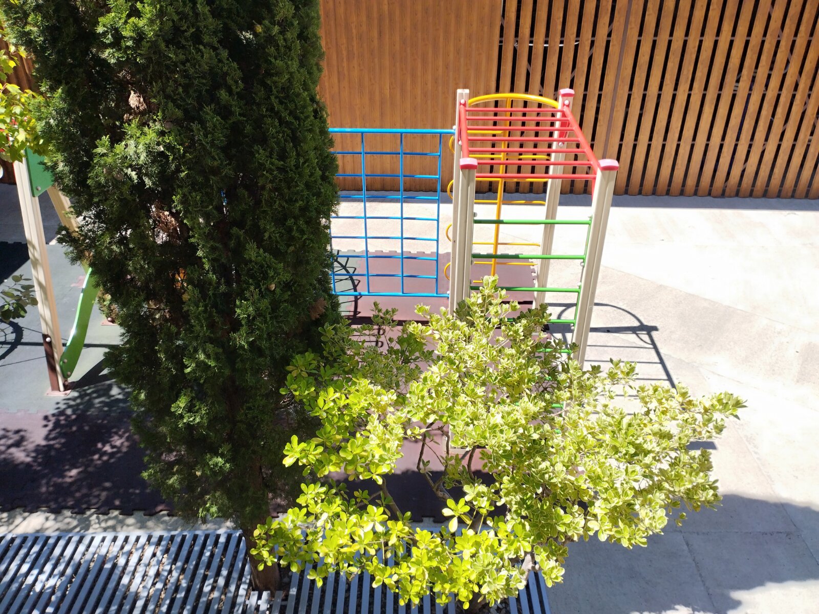 Фото Светлый Аллама групп