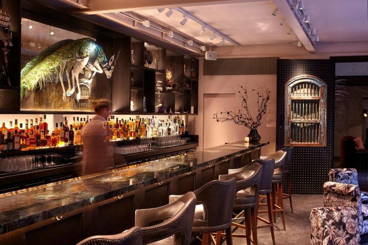 Фото The Mandrake