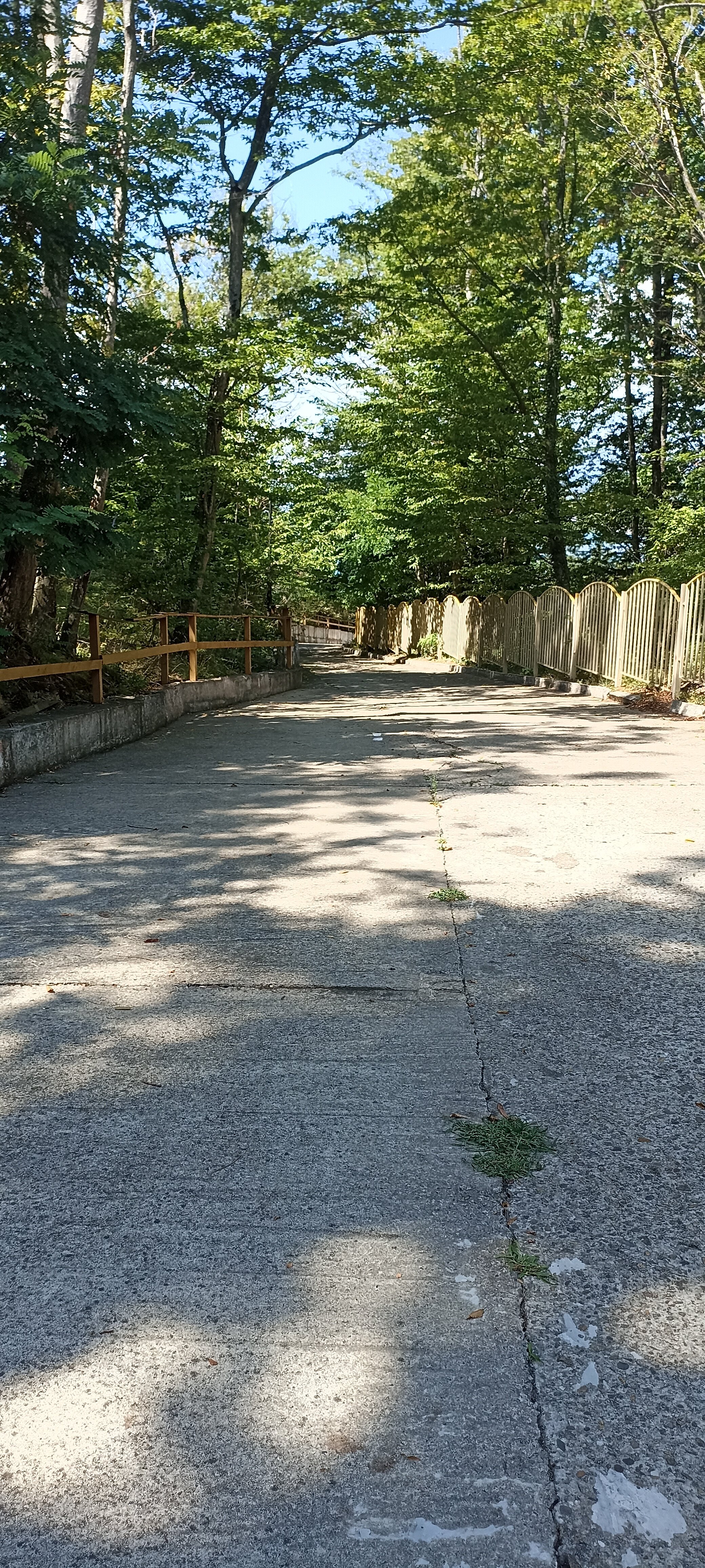 Фото Калипсо