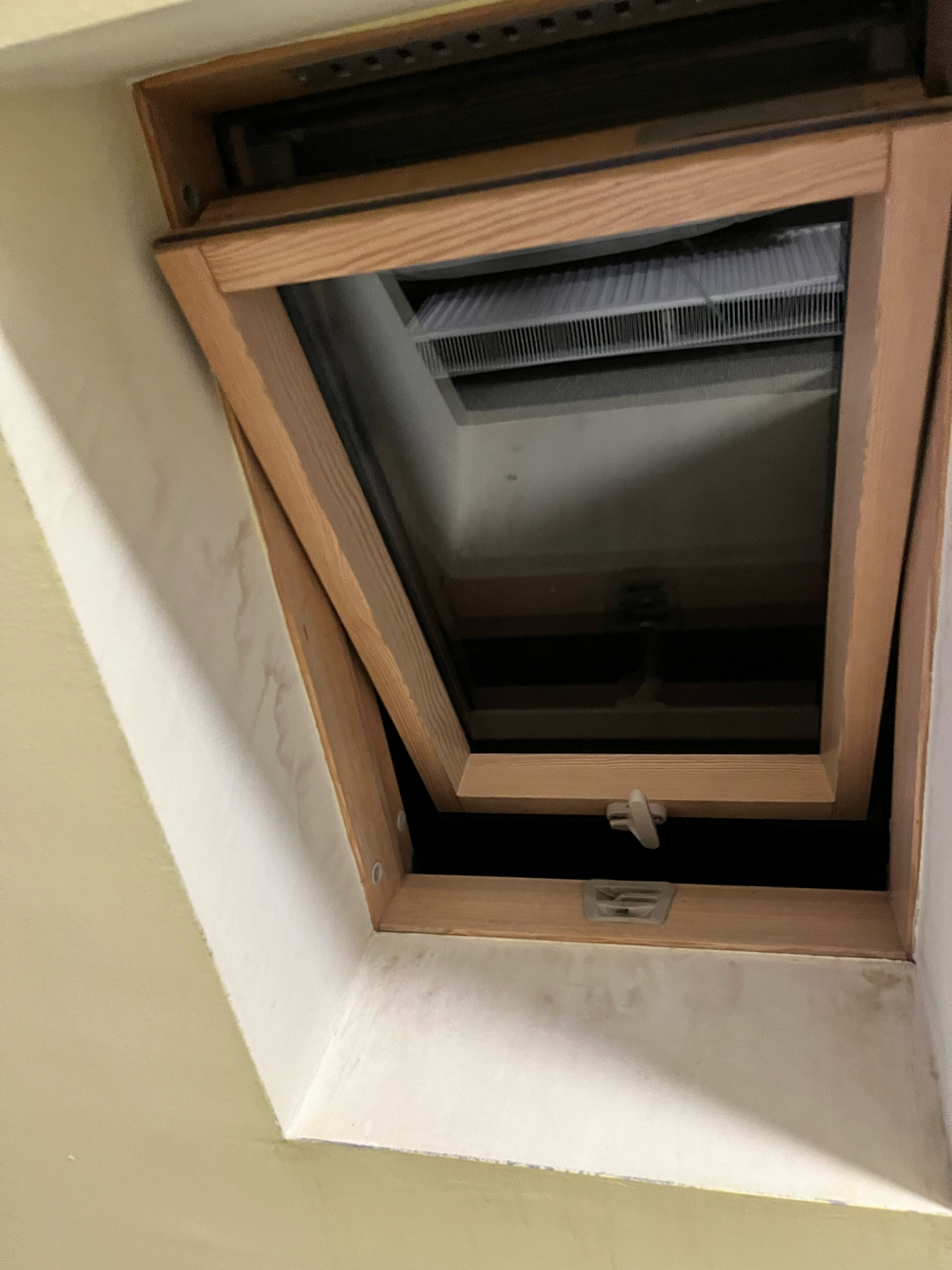 Фото Листопад