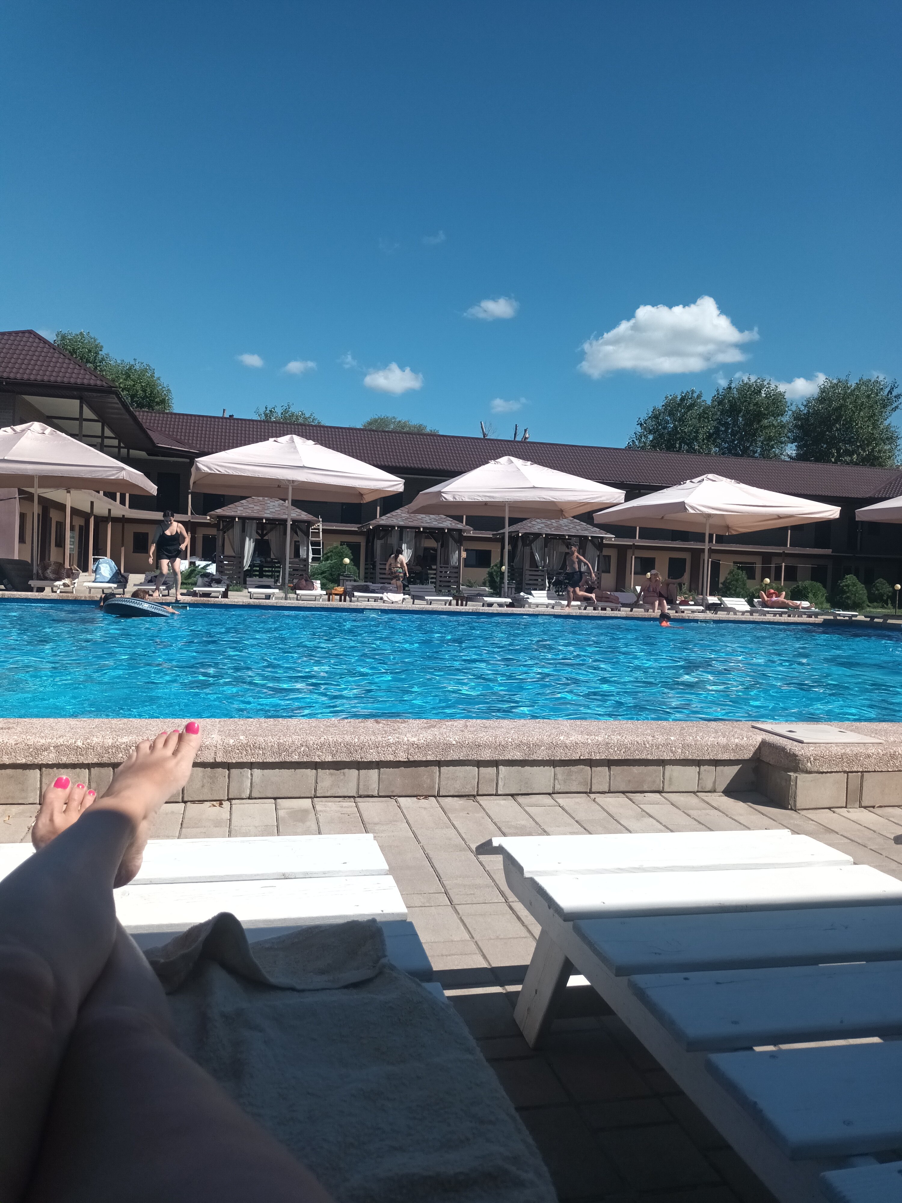 Фото Кипарис