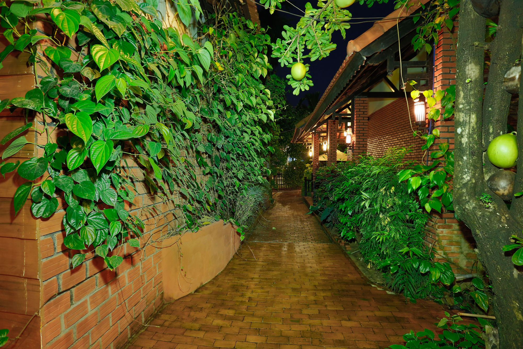 Фото Betel Garden Villas