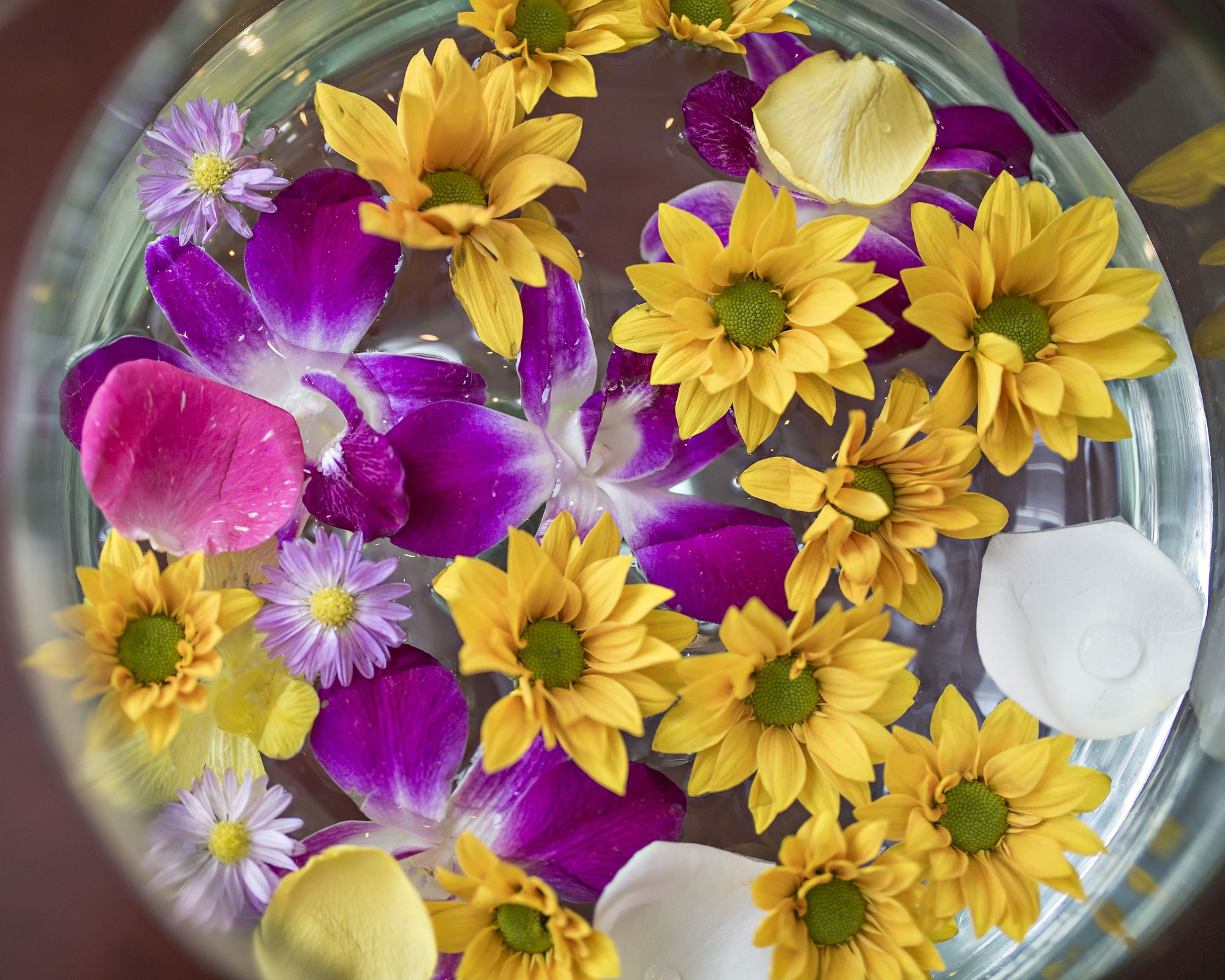 Фото Alani Sea View Hotel