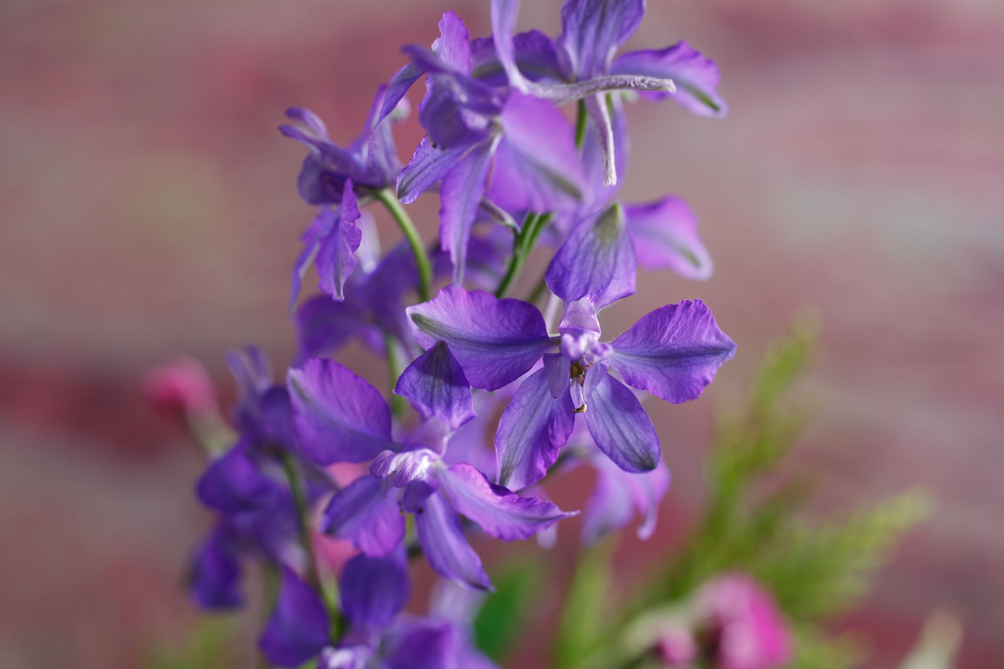 Фото Arima Onsen Kotori