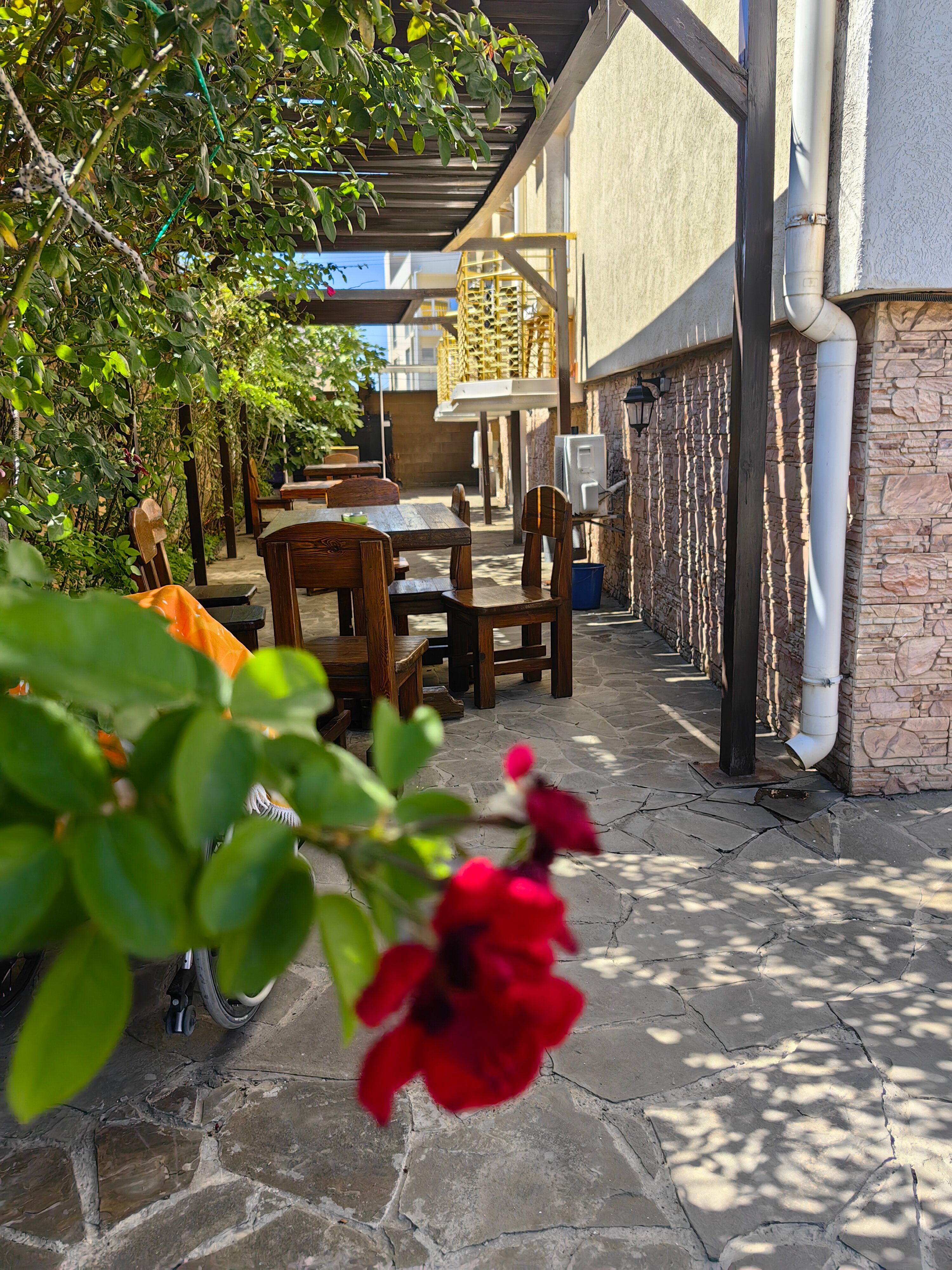 Фото Золотой