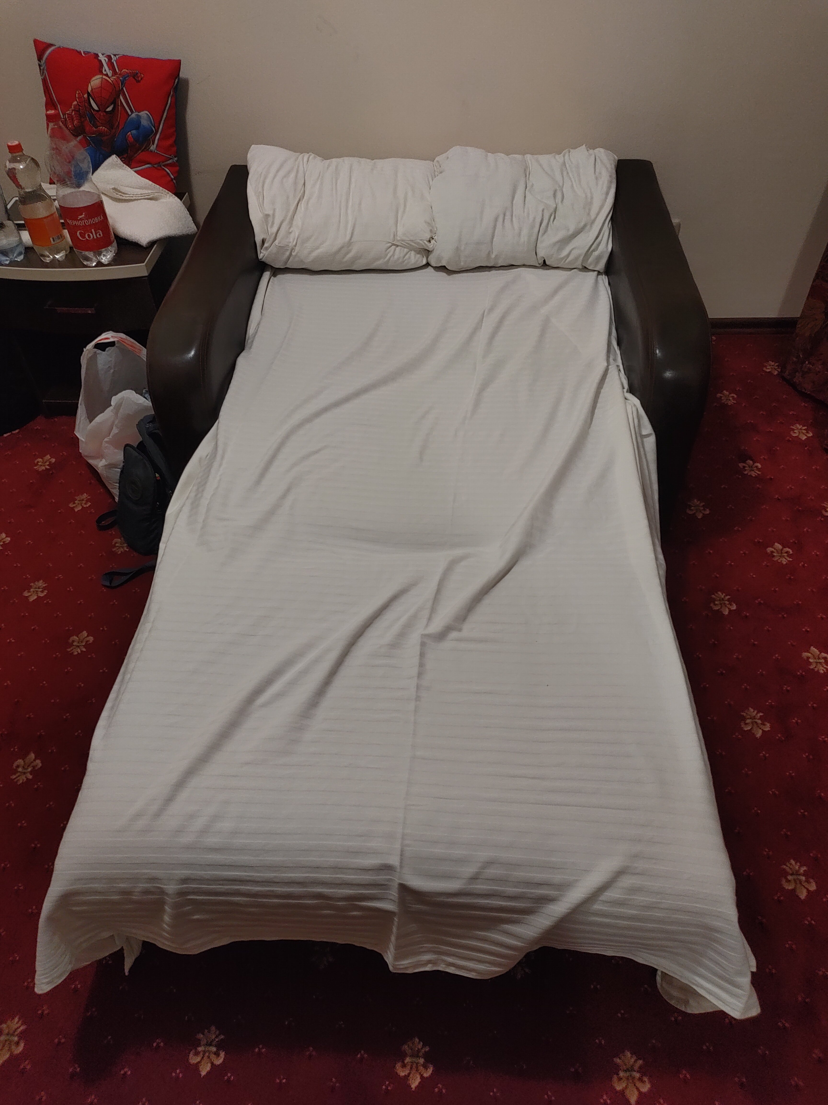 Фото Спутник Inn