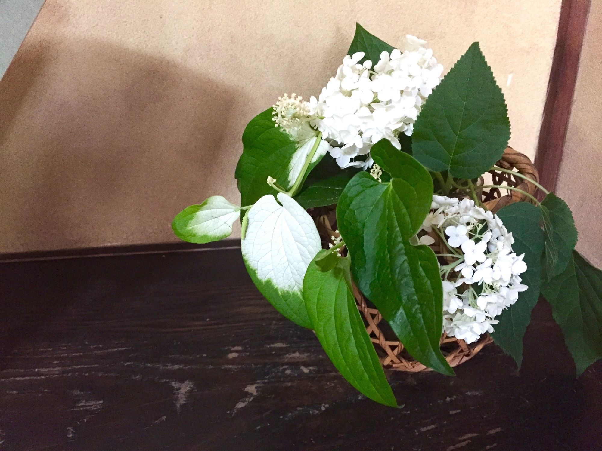 Фото Toshiharu Ryokan