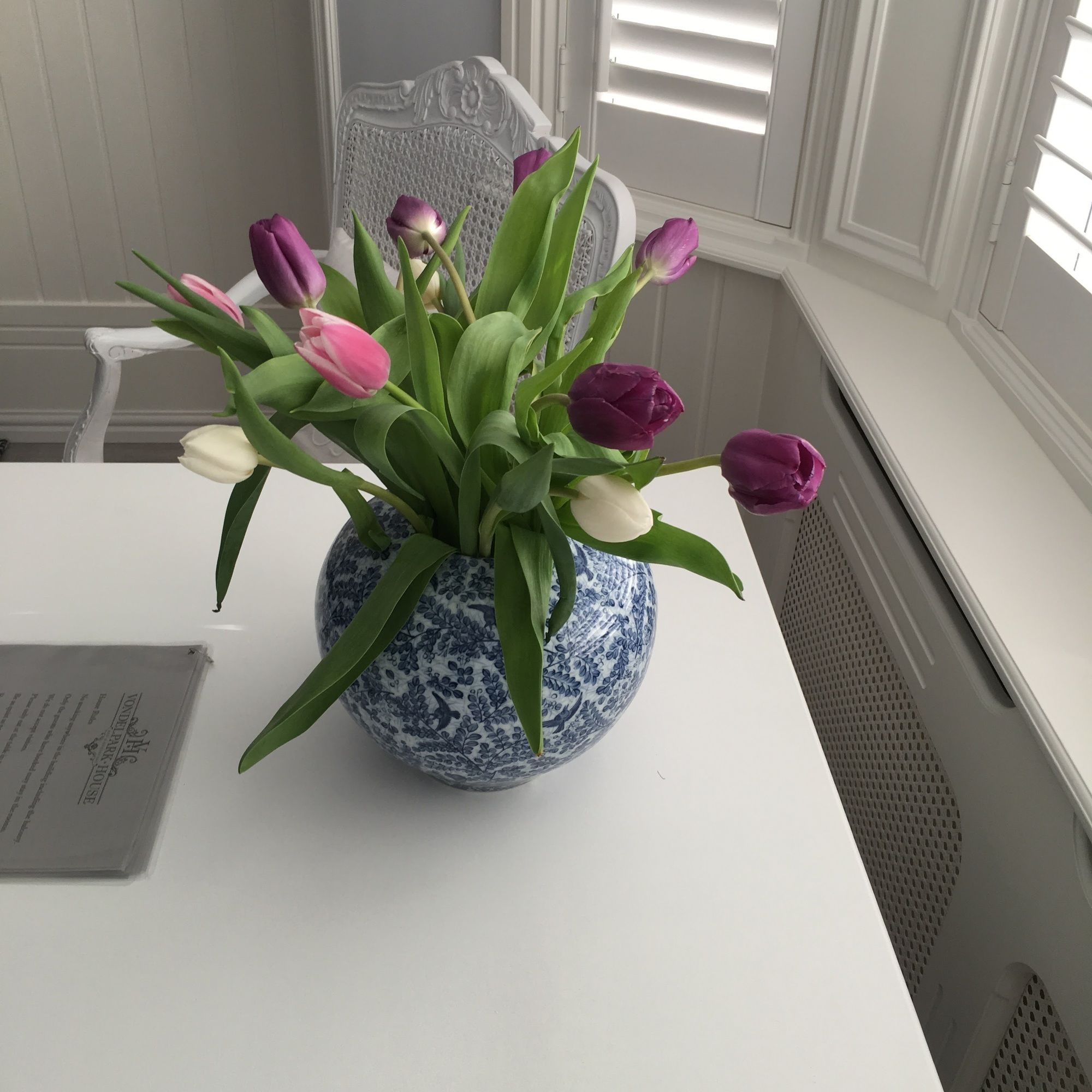 Фото Vondelpark House Bed&Breakfast